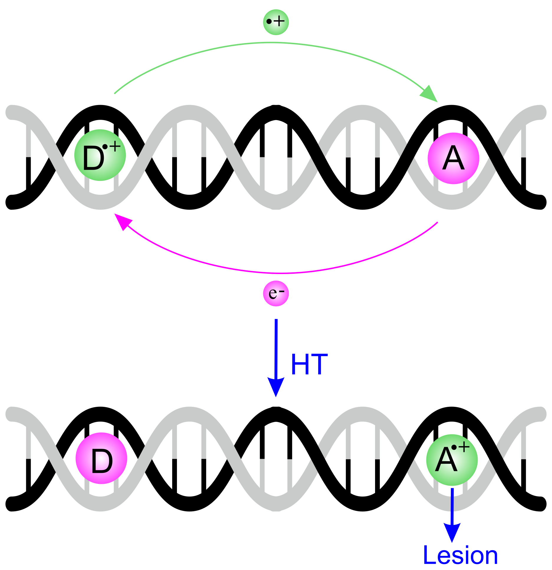 Molecules 24 04044 g001 Molecules 24 04044 g001