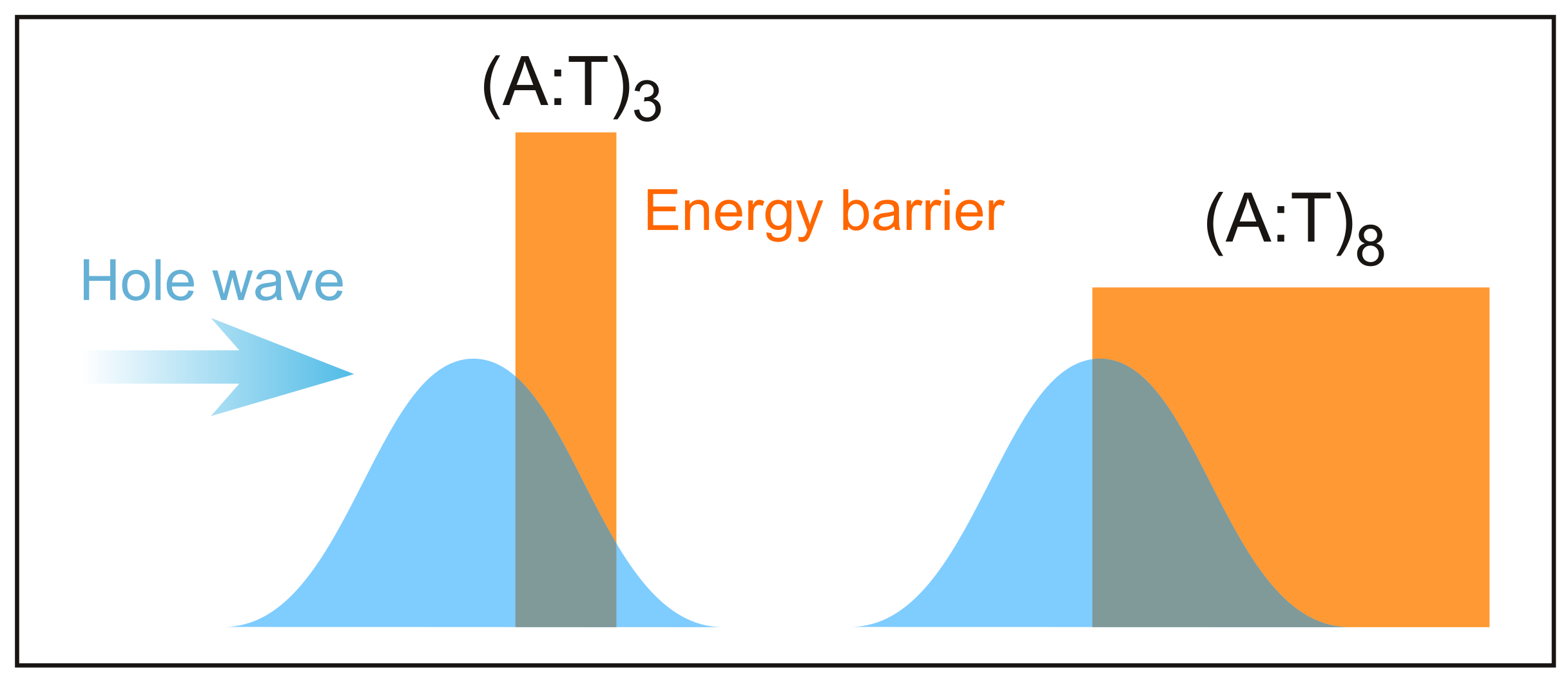 Molecules 24 04044 g012 Molecules 24 04044 g012