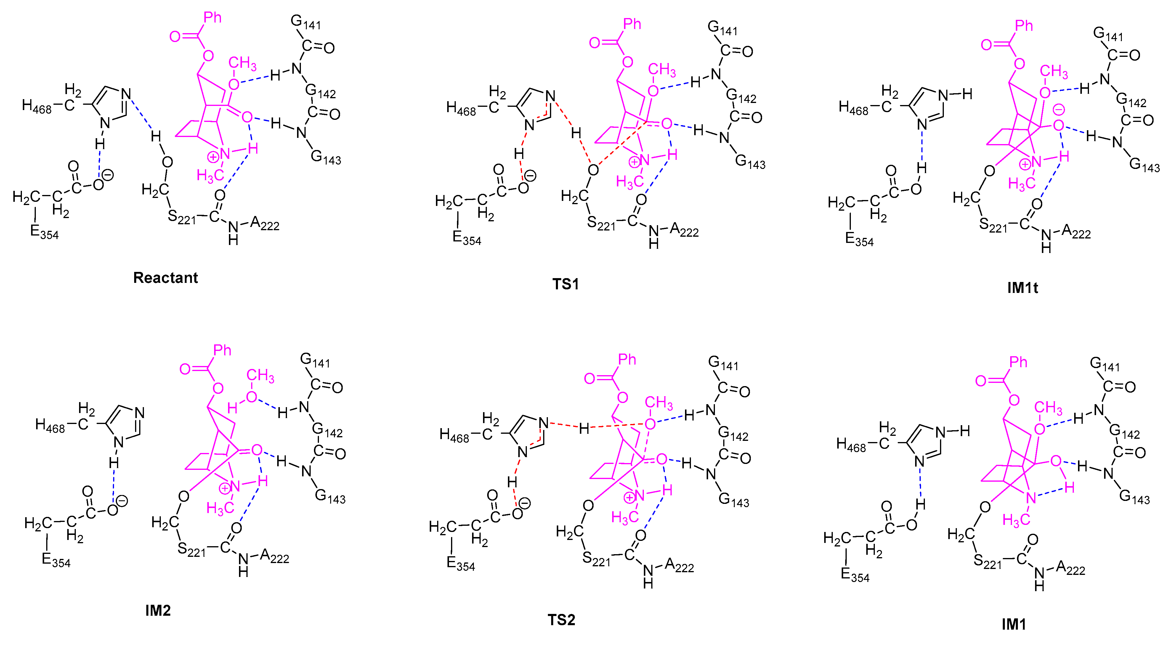 Molecules 24 04057 g002
