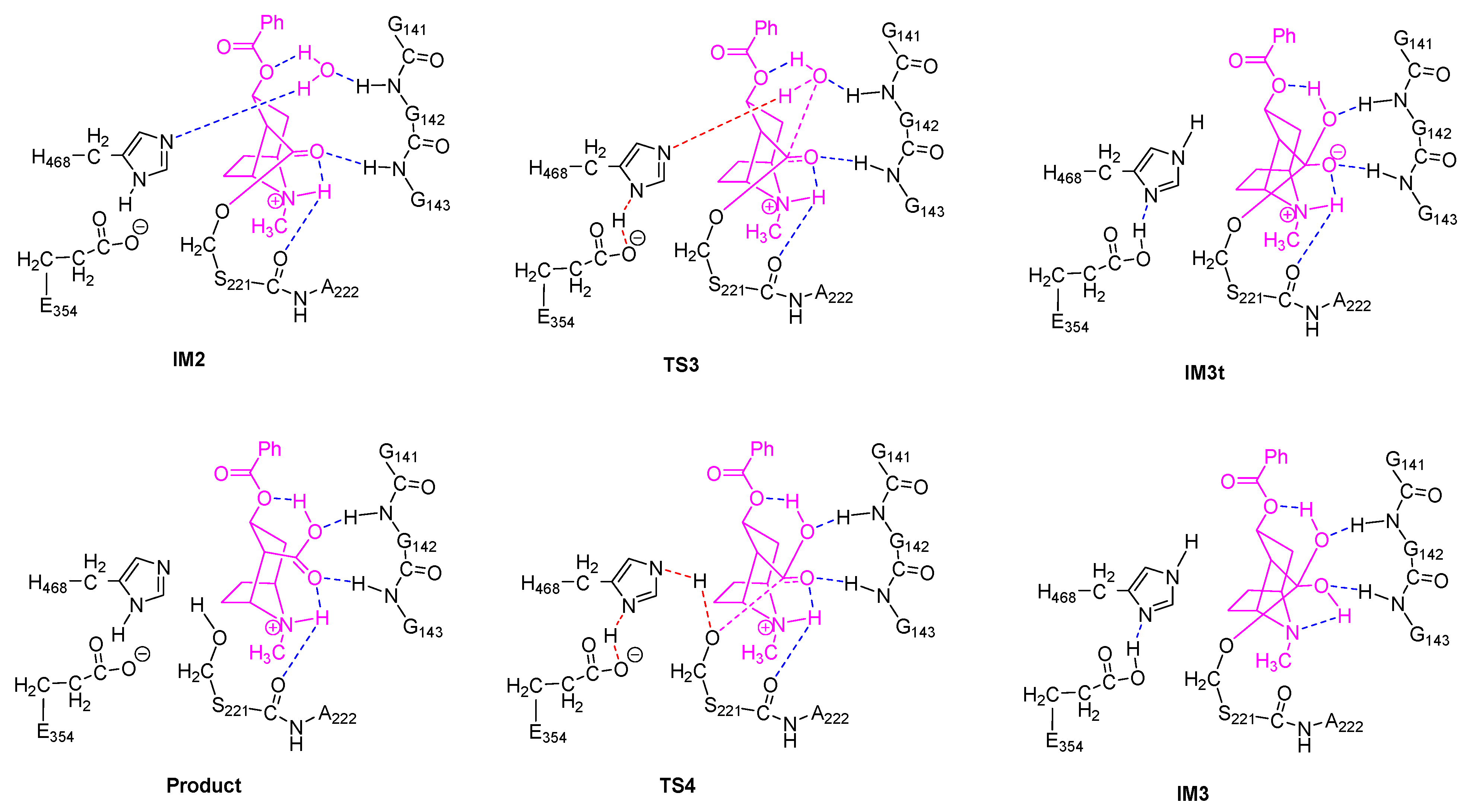Molecules 24 04057 g003