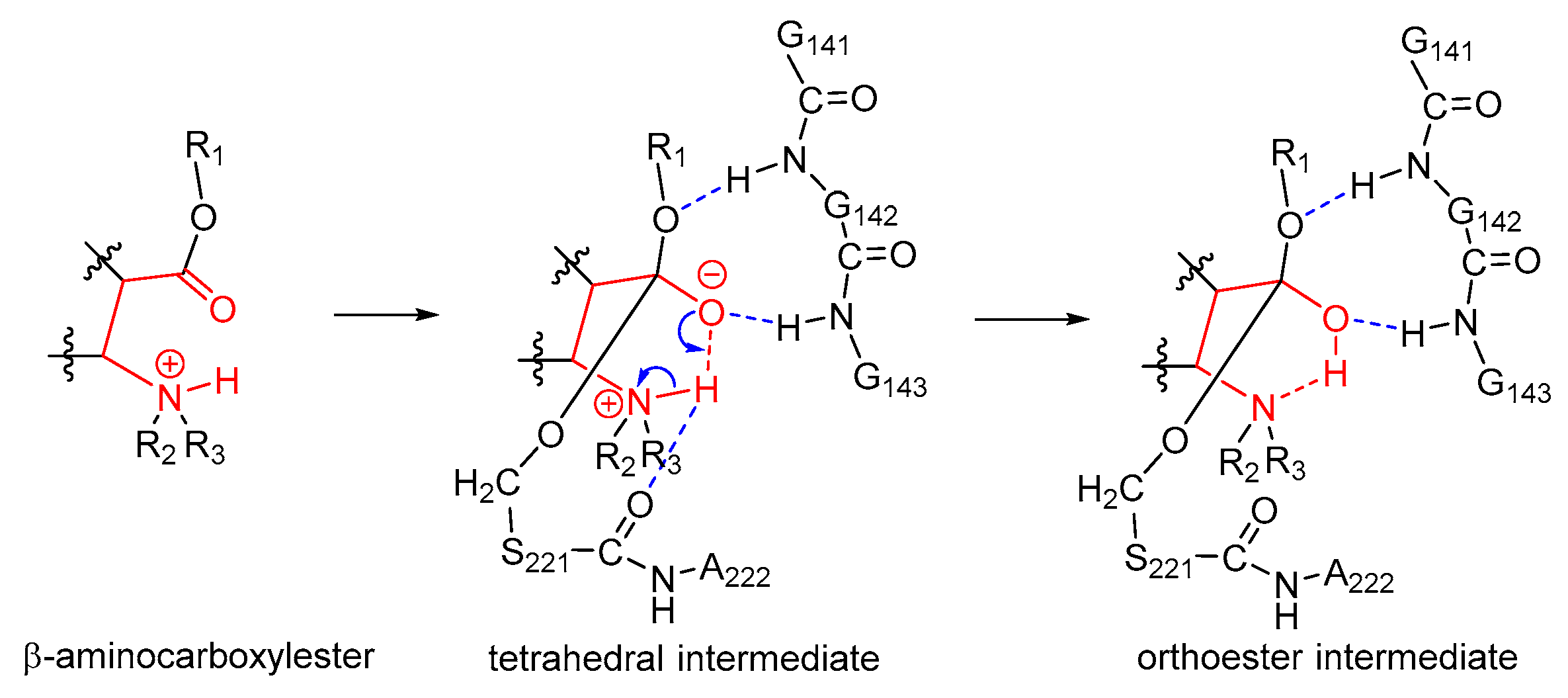 Molecules 24 04057 g007