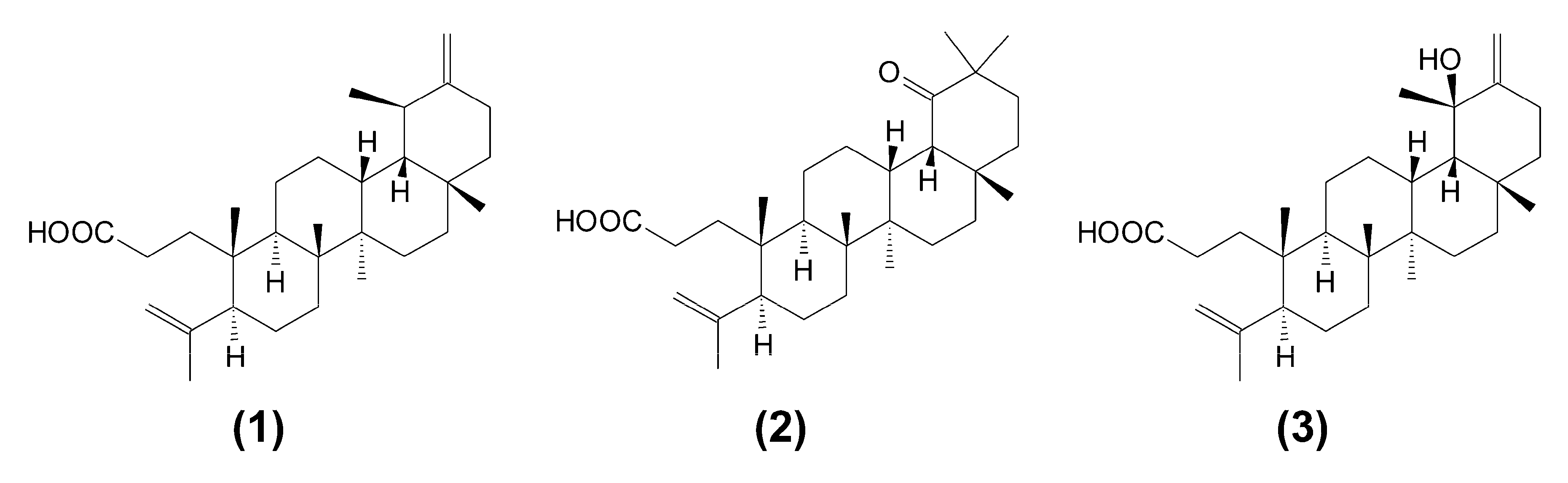 Molecules 24 04060 g001