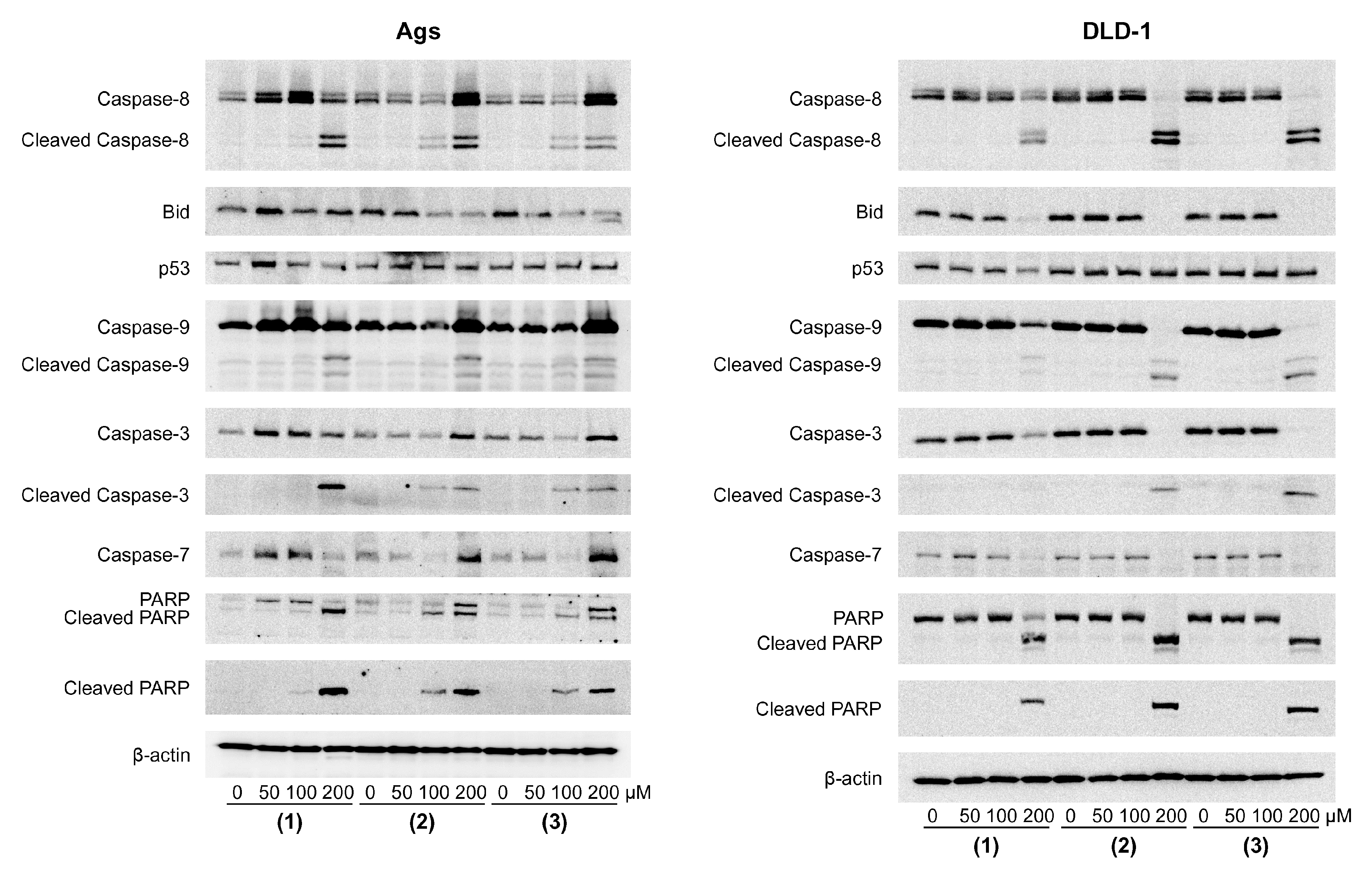 Molecules 24 04060 g004