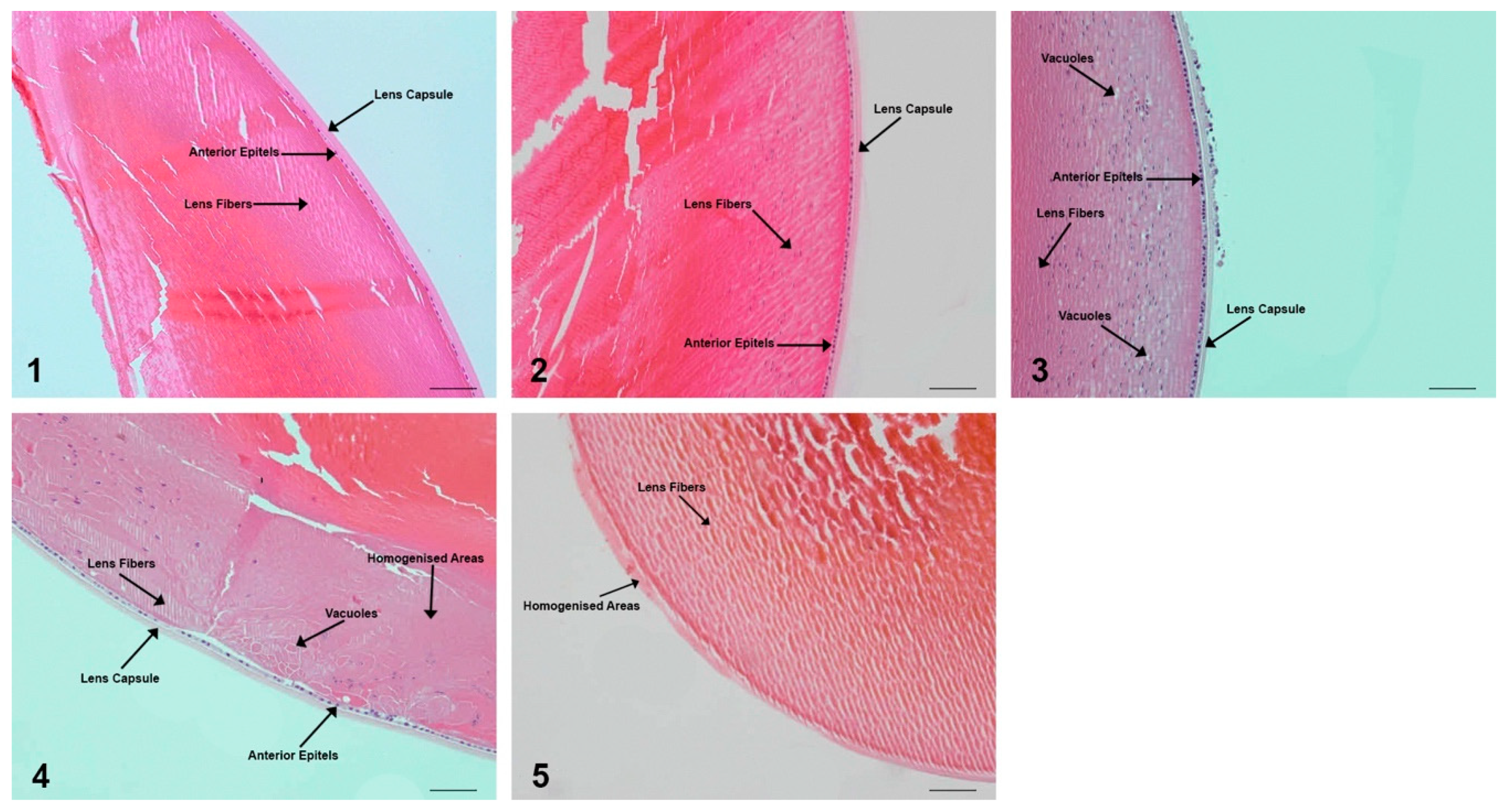 Molecules 24 04069 g003