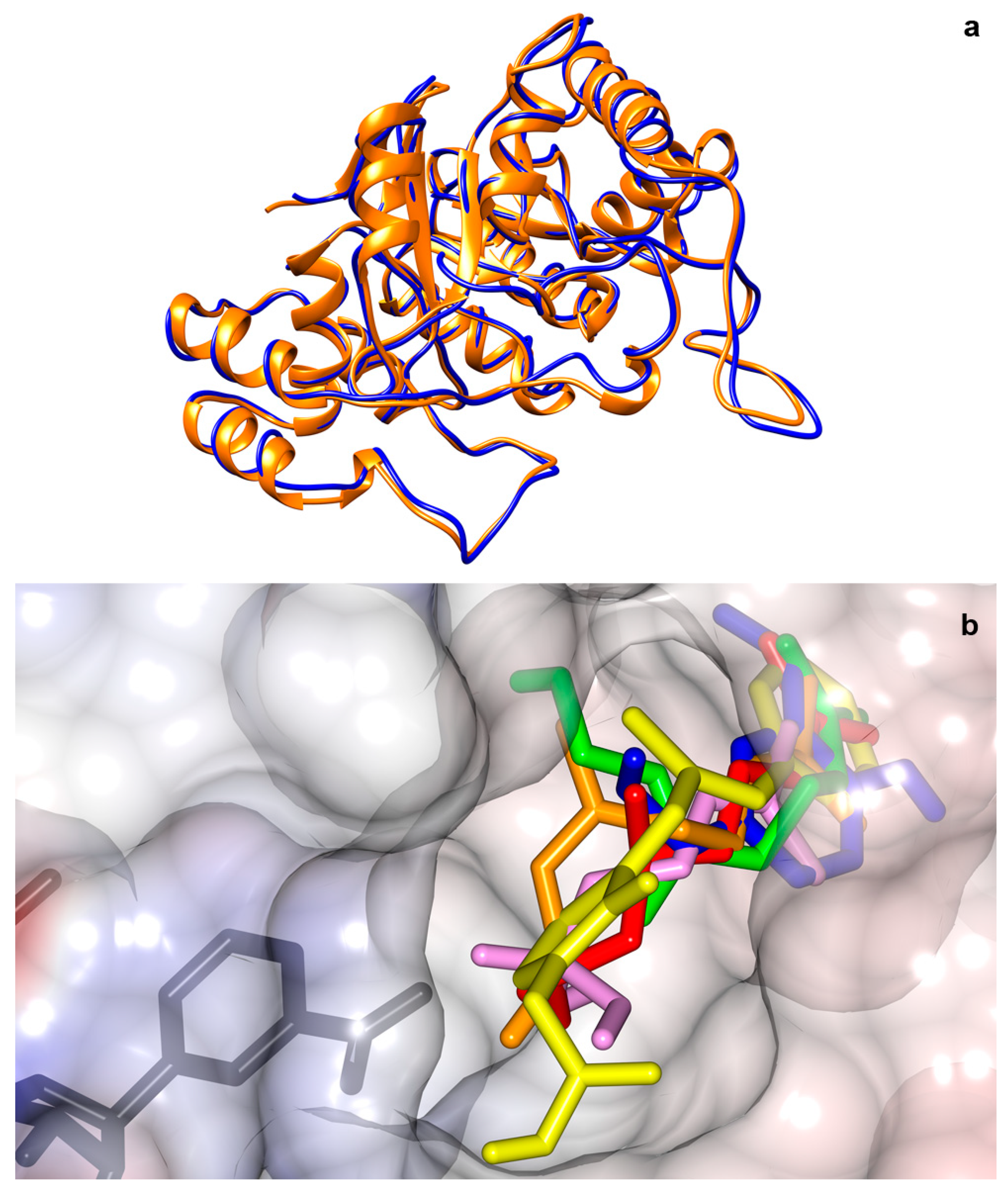 Molecules 24 04069 g004