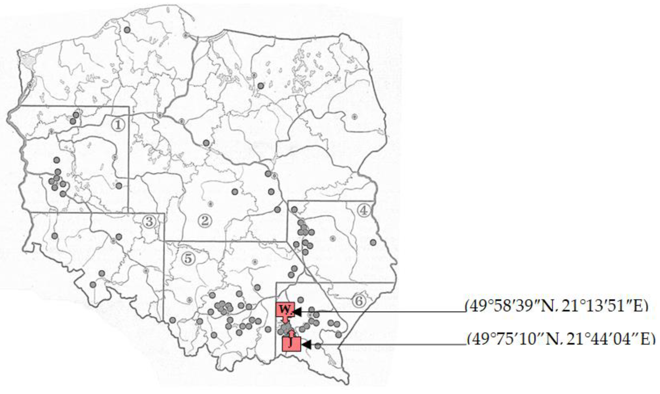 Molecules 24 04074 g001