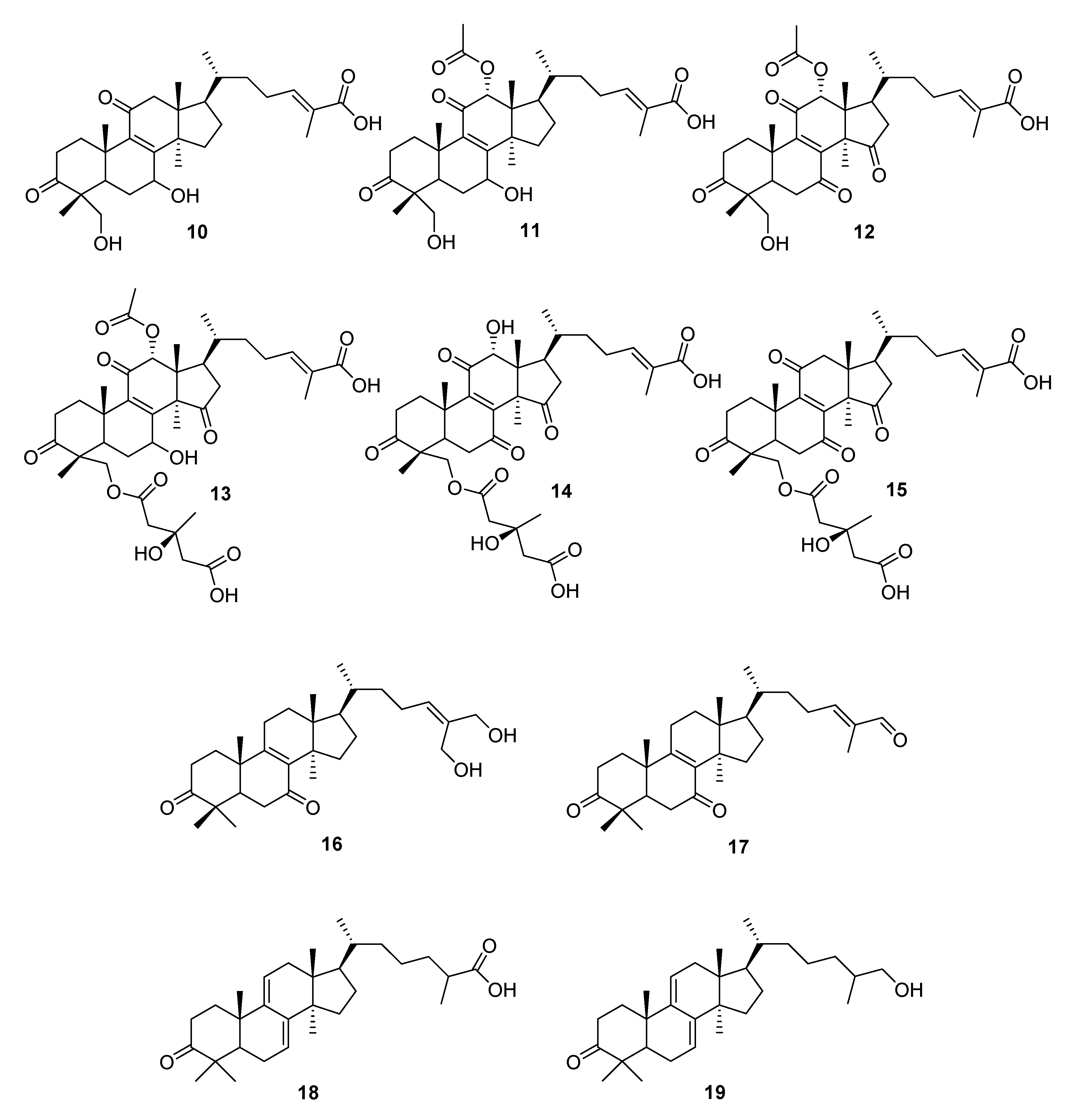 Molecules 24 04075 g004