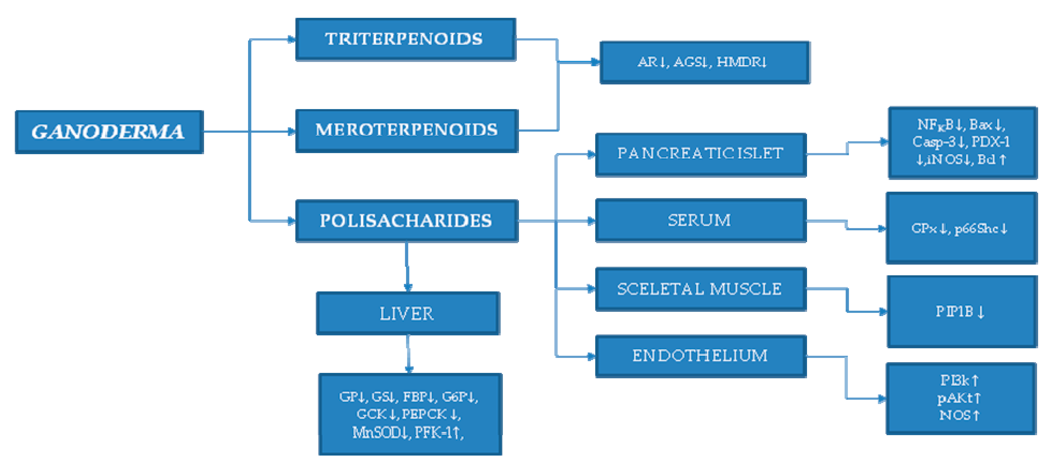 Molecules 24 04075 sch001