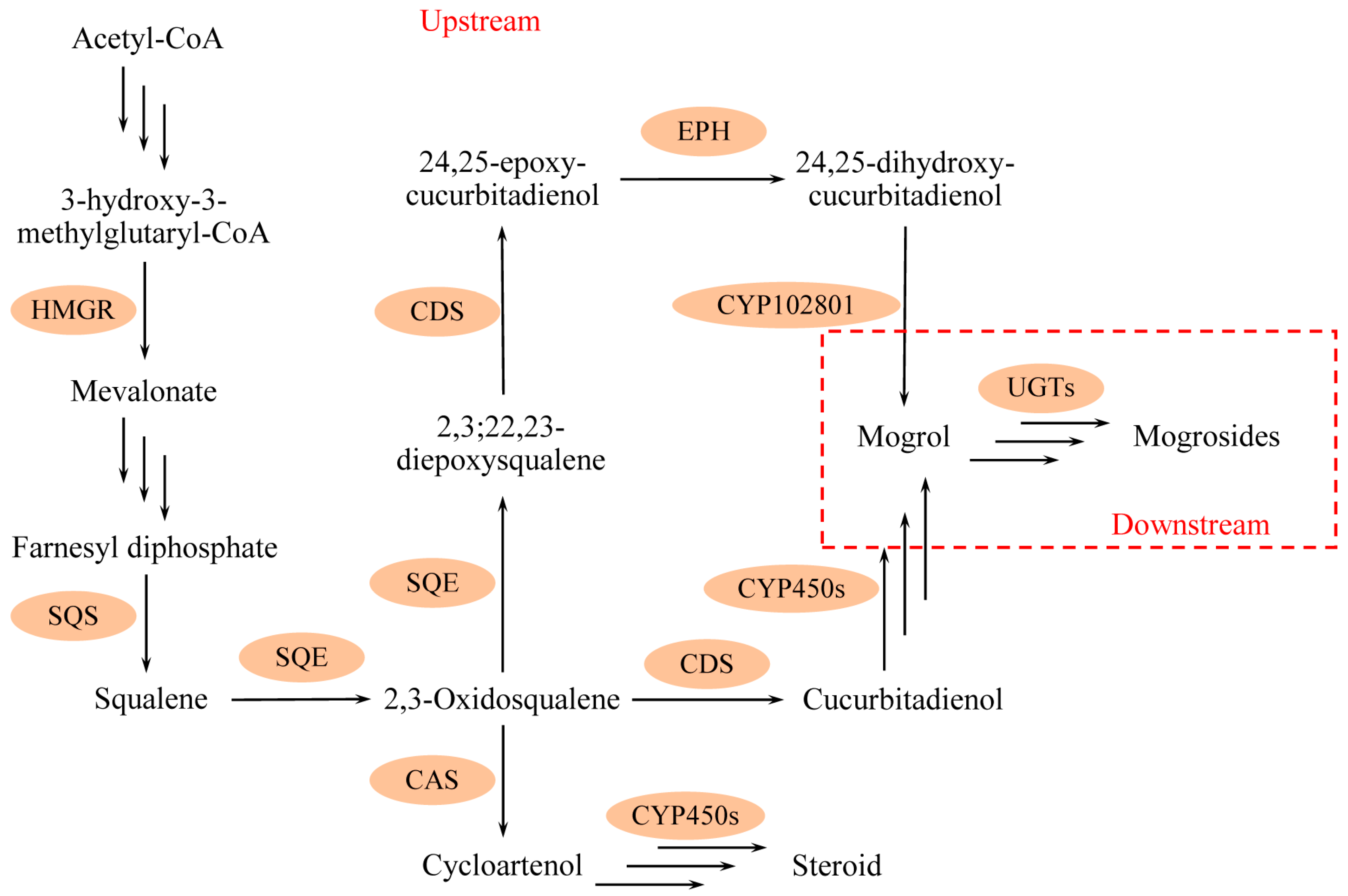 Molecules 24 04076 g001