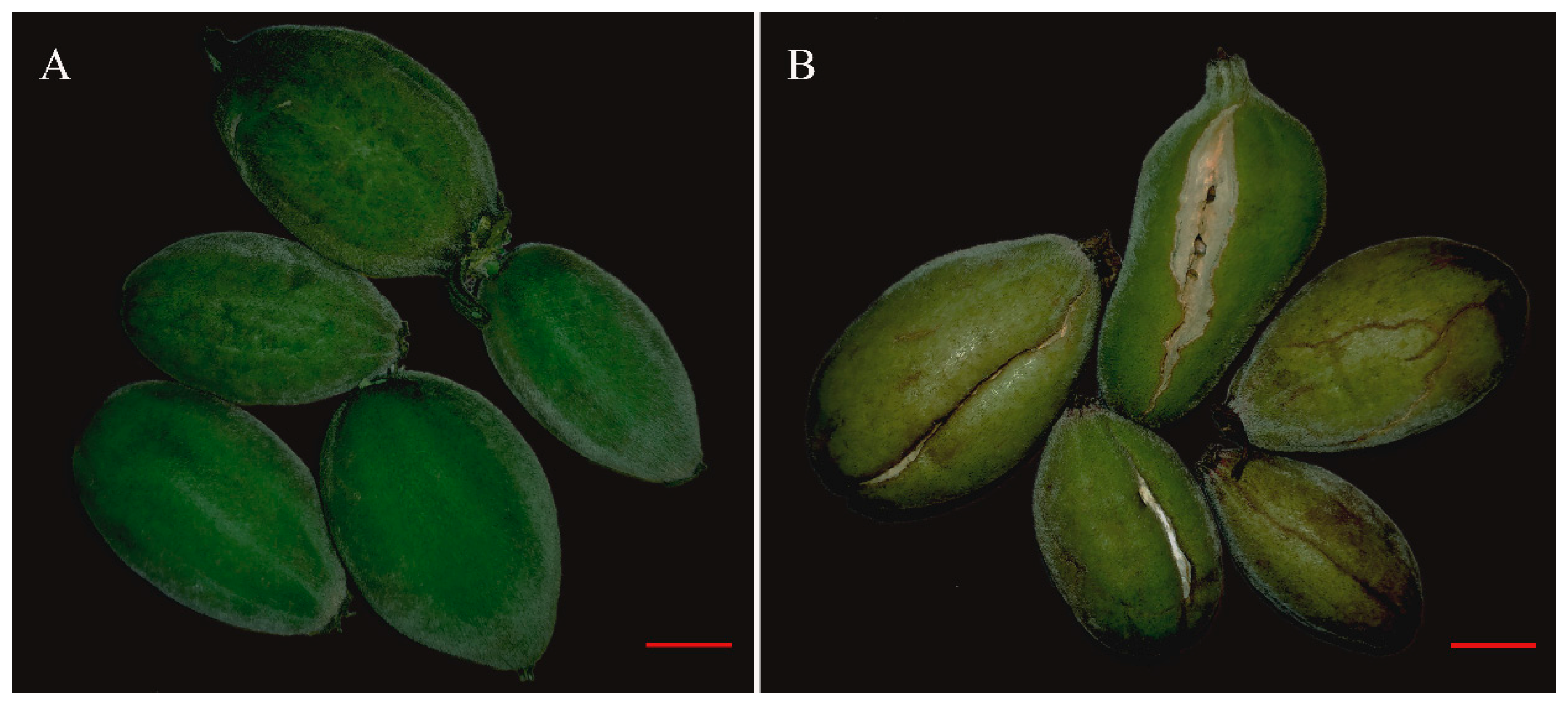 Molecules 24 04076 g003