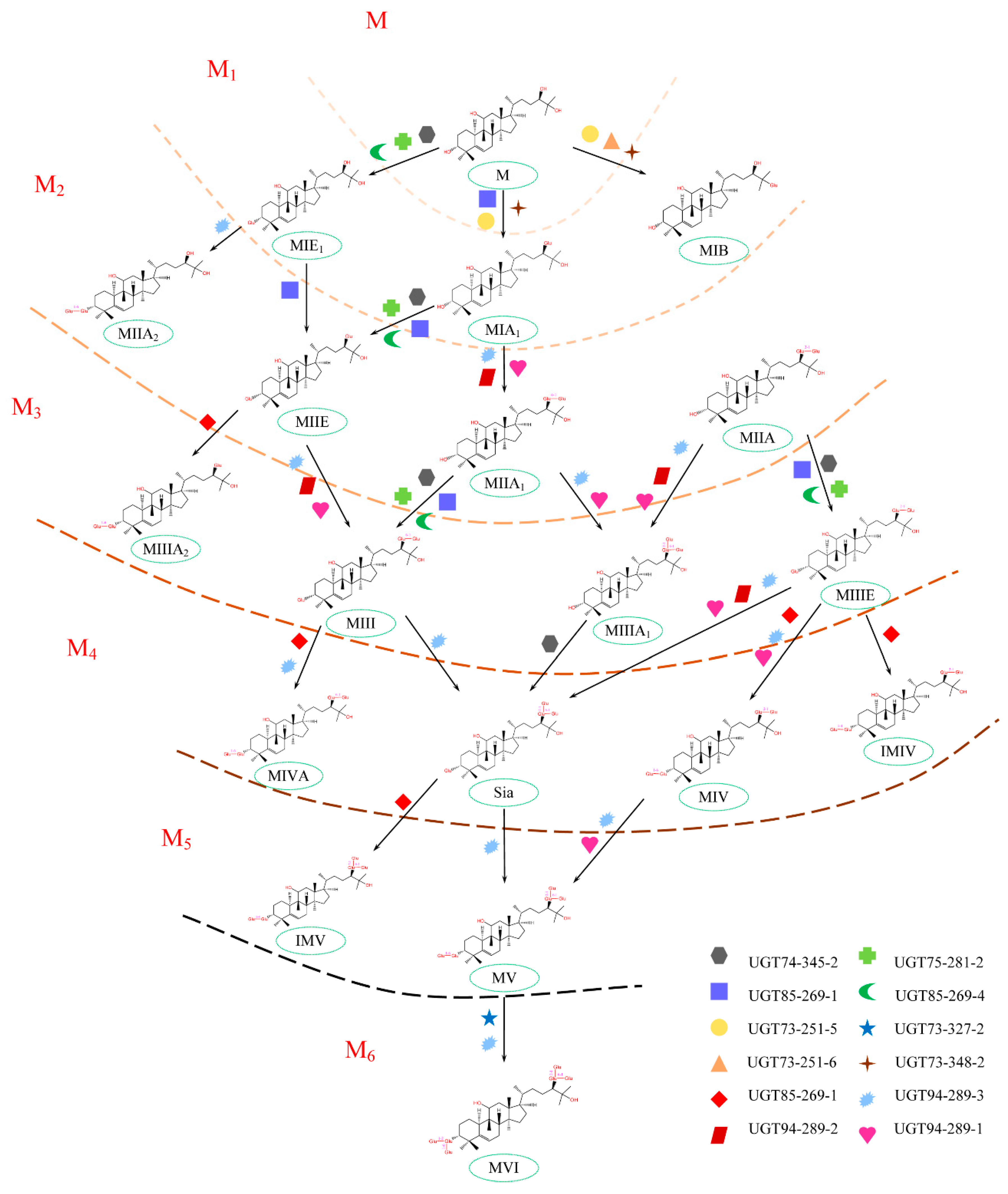 Molecules 24 04076 g007