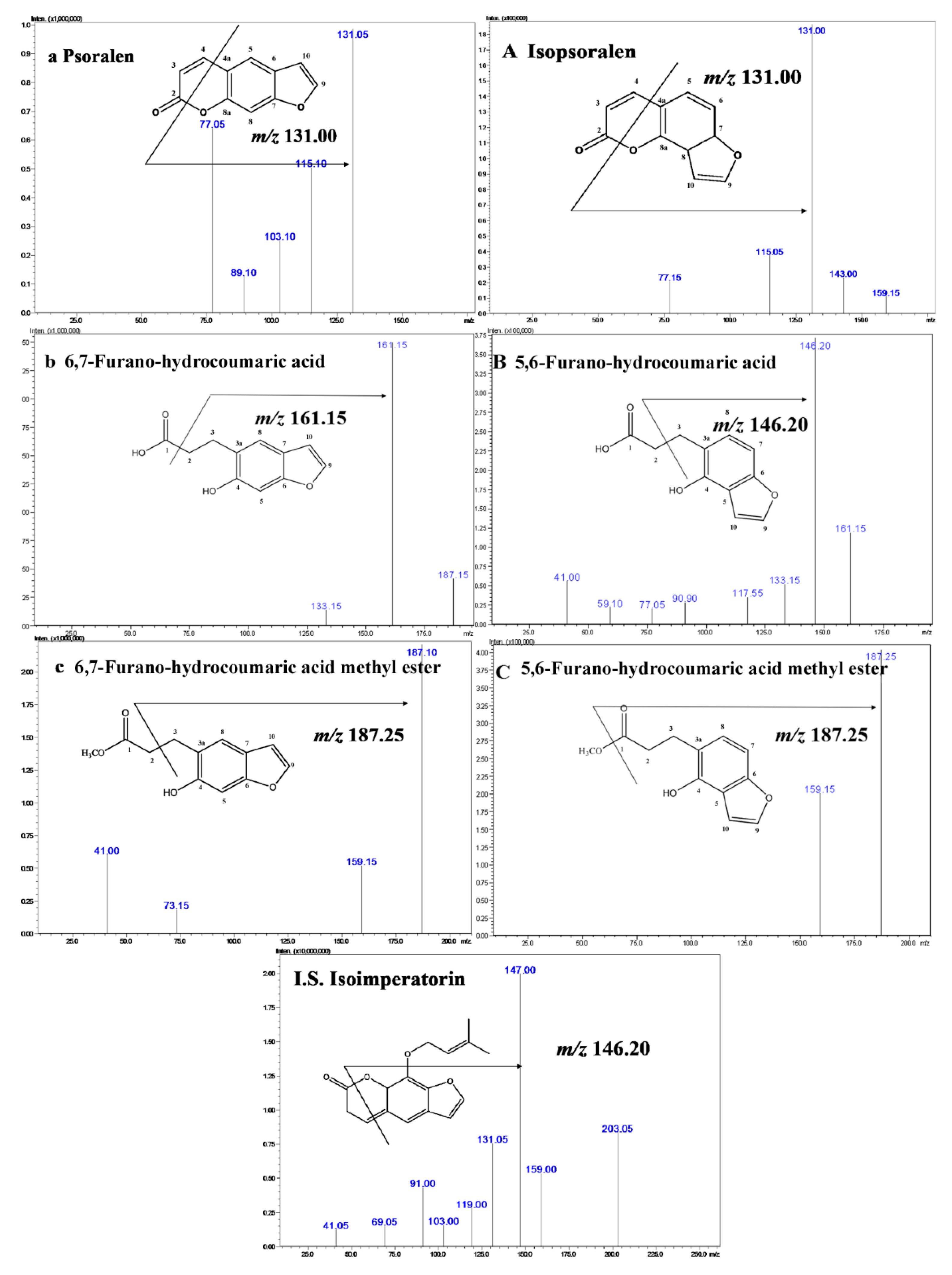 Molecules 24 04080 g001