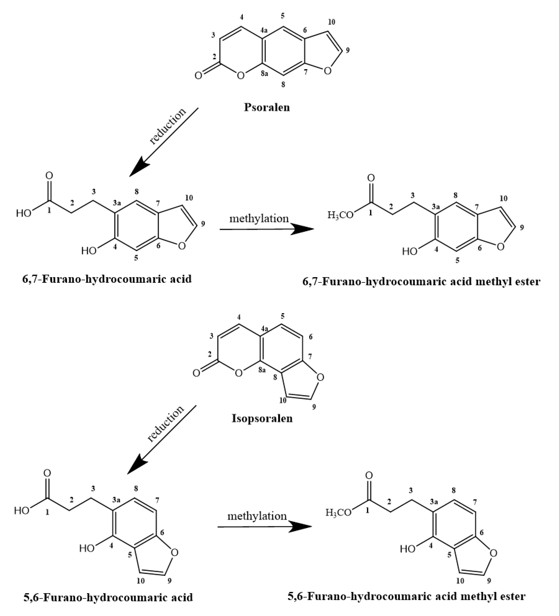 Molecules 24 04080 g002