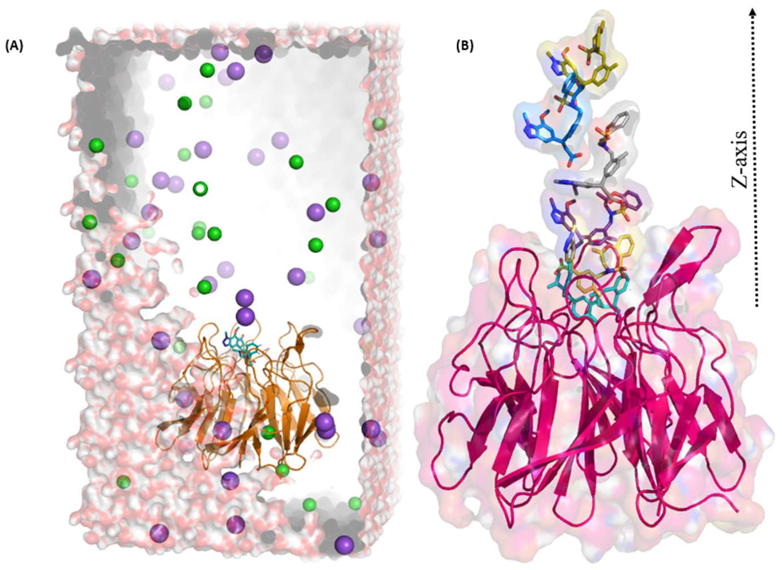 Molecules 24 04085 g009