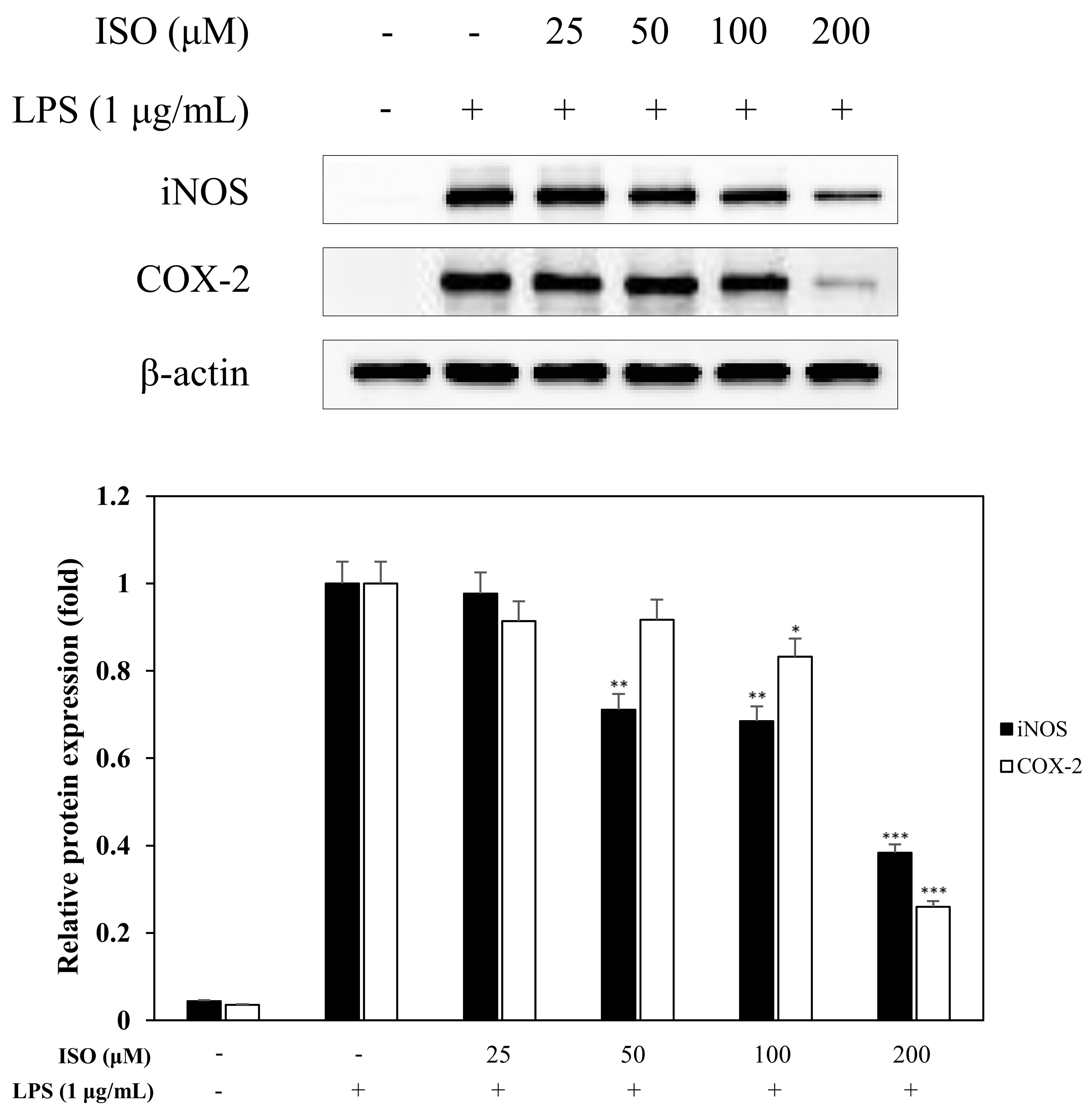 Molecules 24 04088 g008