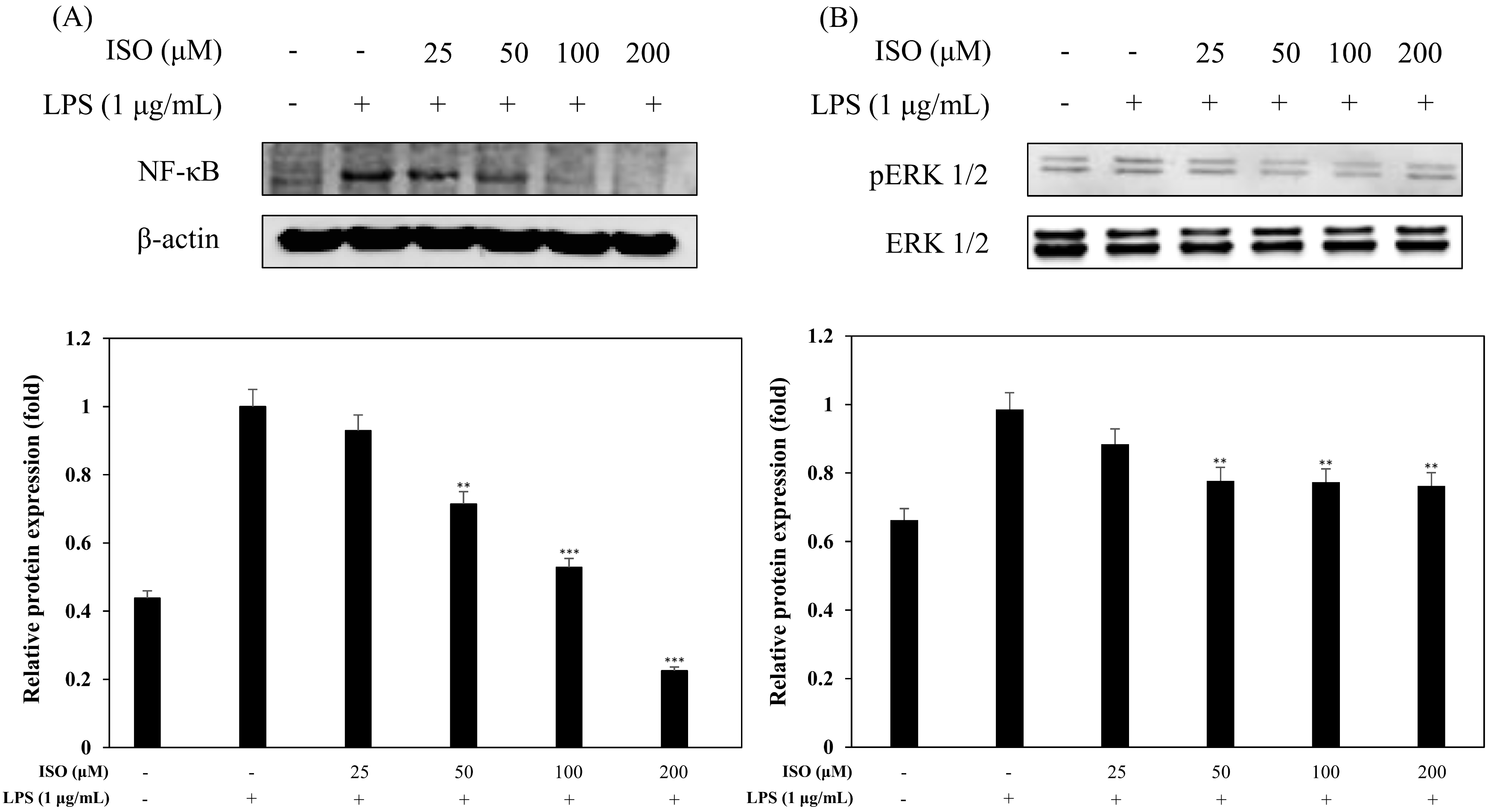 Molecules 24 04088 g009