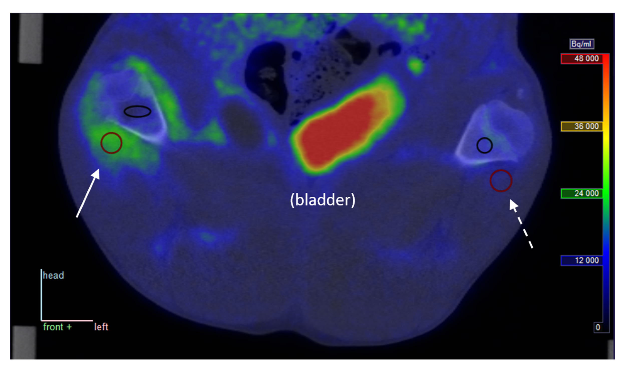 Molecules 24 04094 g001