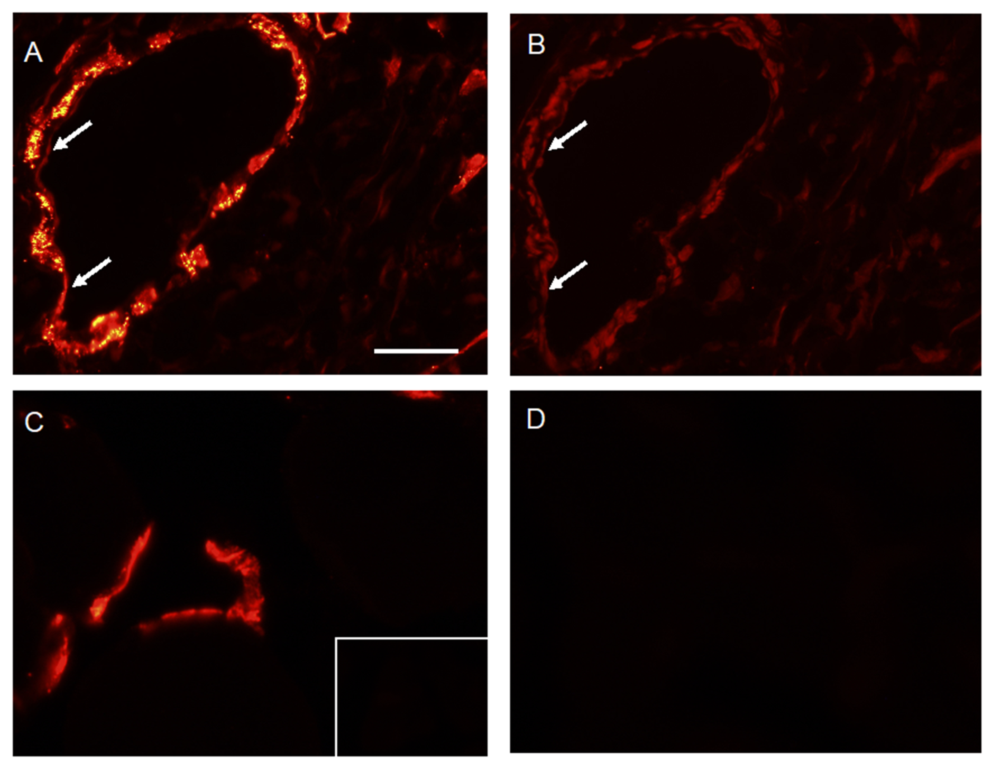 Molecules 24 04094 g003