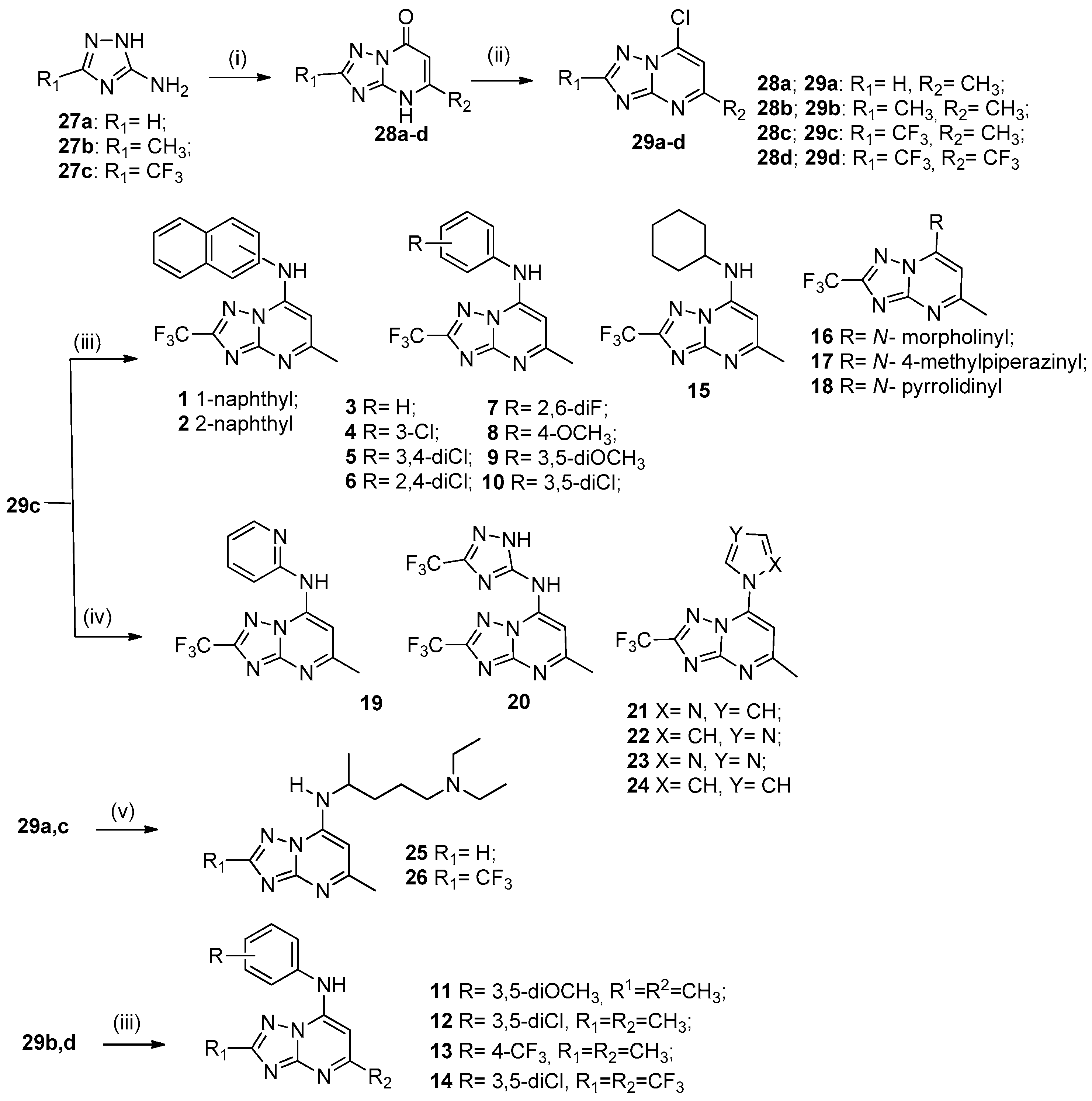 Molecules 24 04095 g003