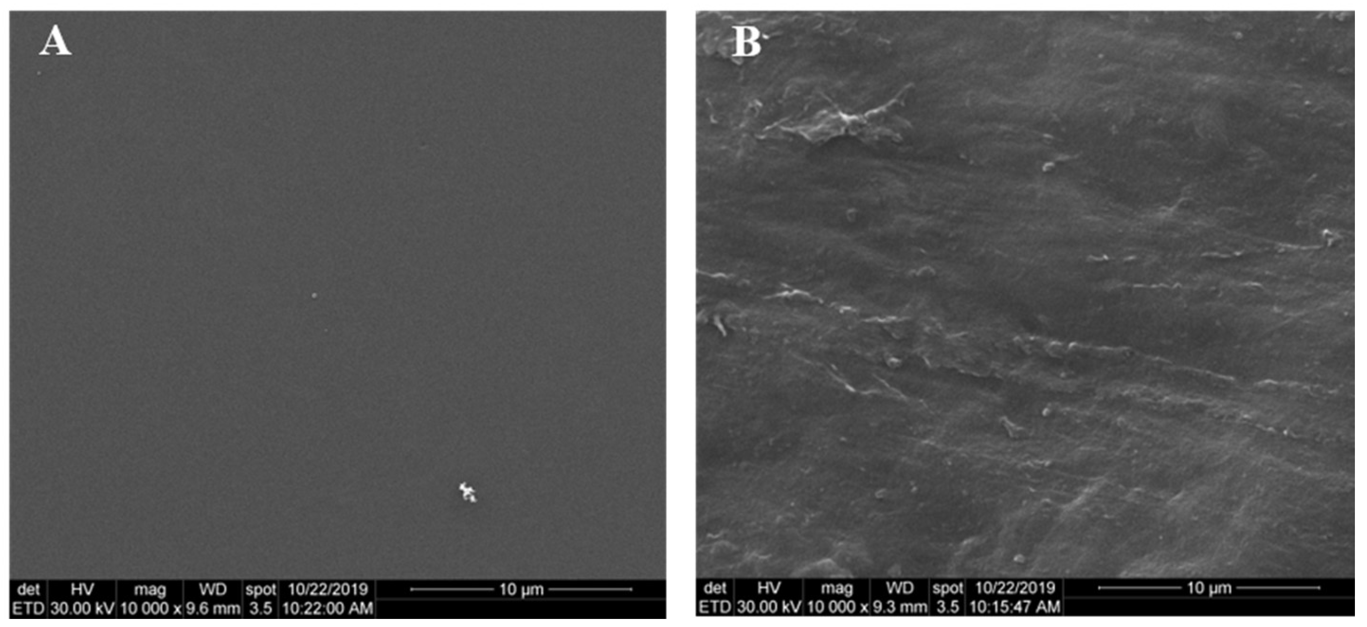 Molecules 24 04096 g011