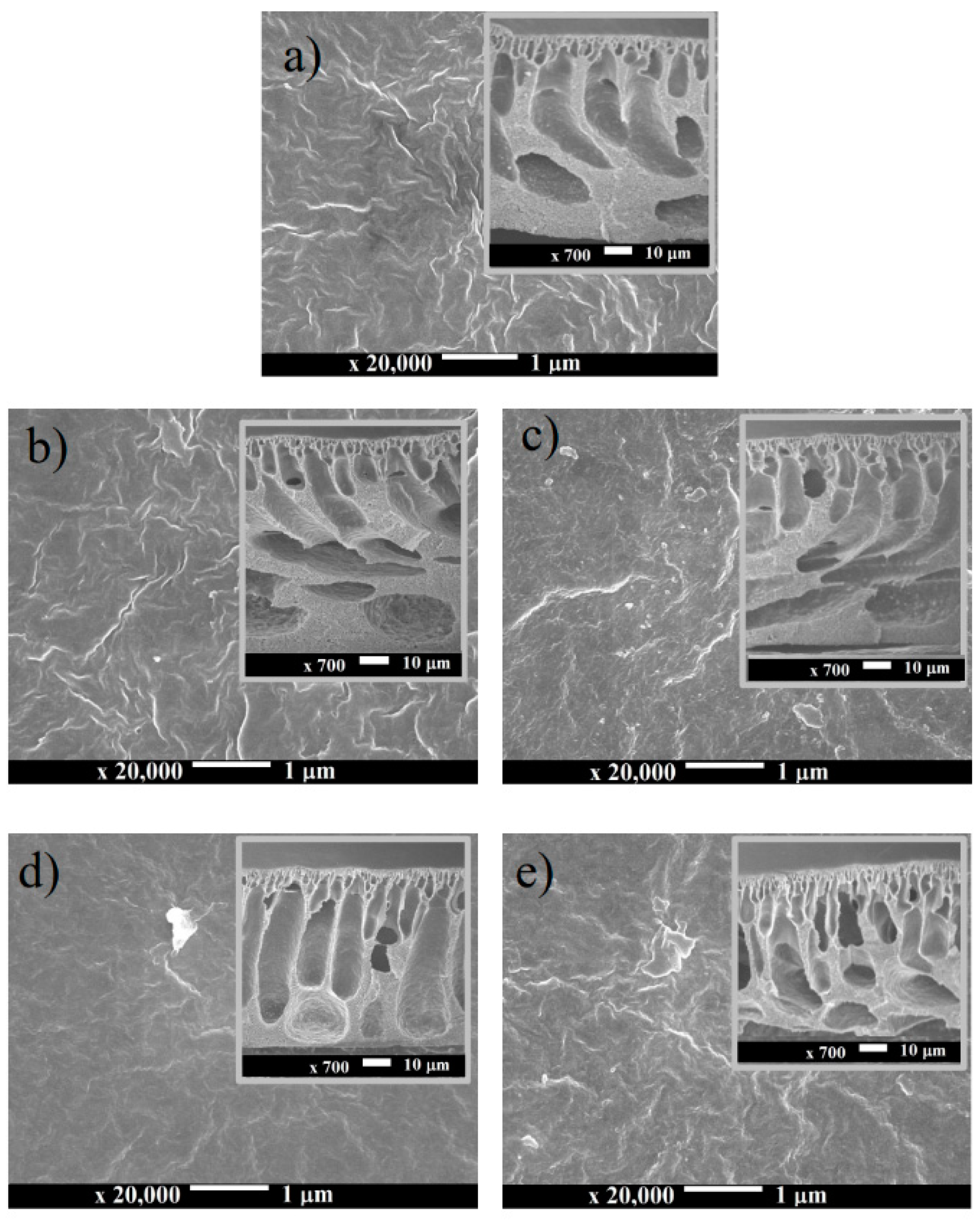 Molecules 24 04099 g002