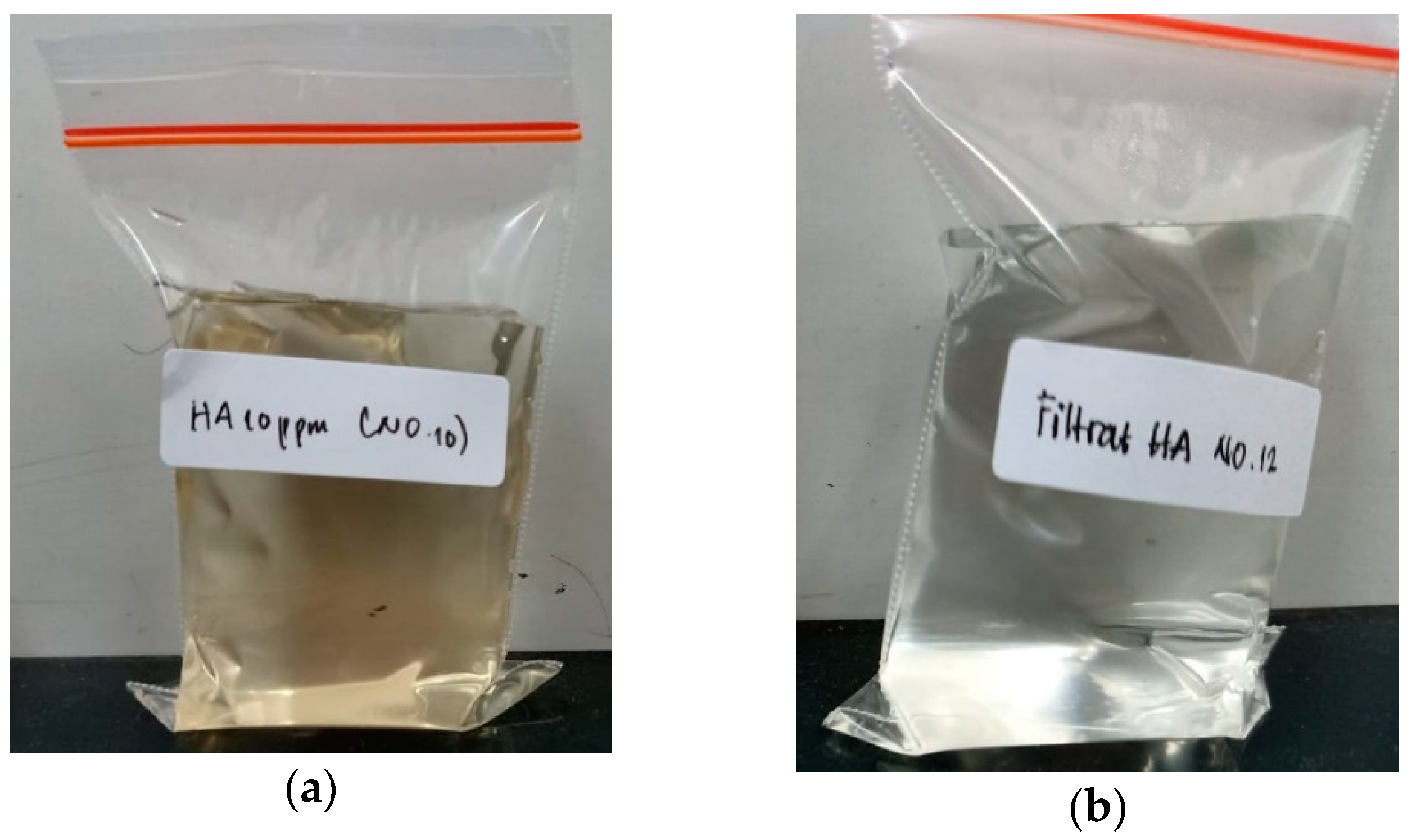 Molecules 24 04099 g009