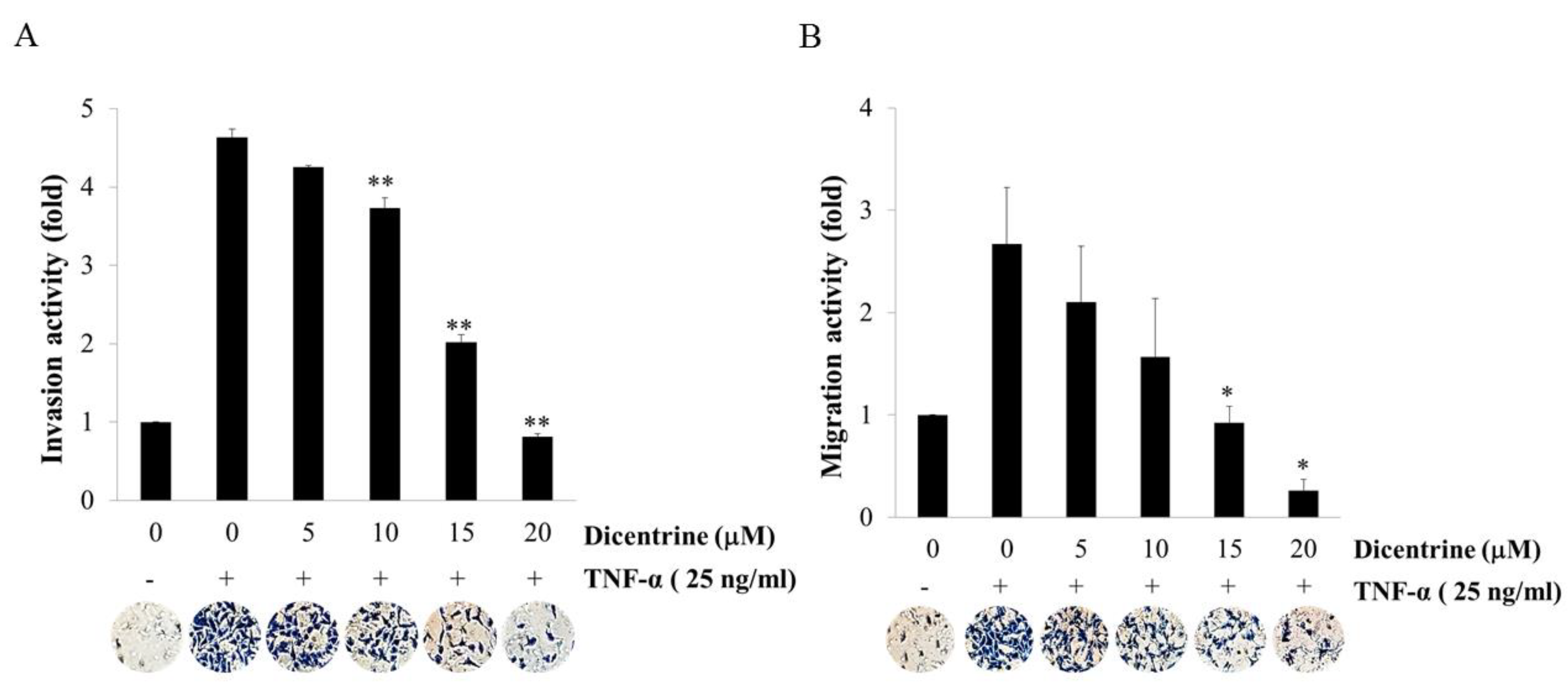 Molecules 24 04100 g003
