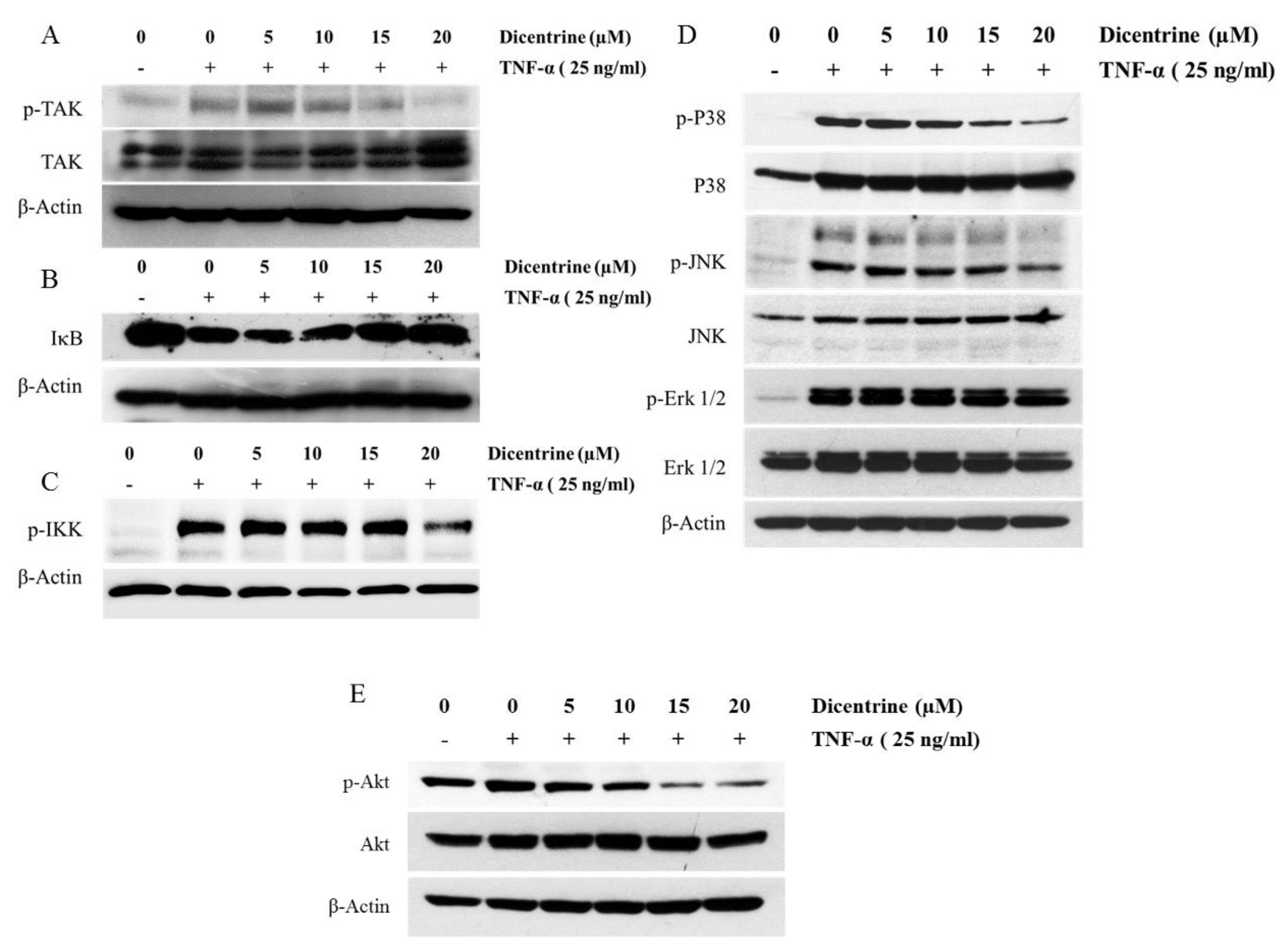 Molecules 24 04100 g006