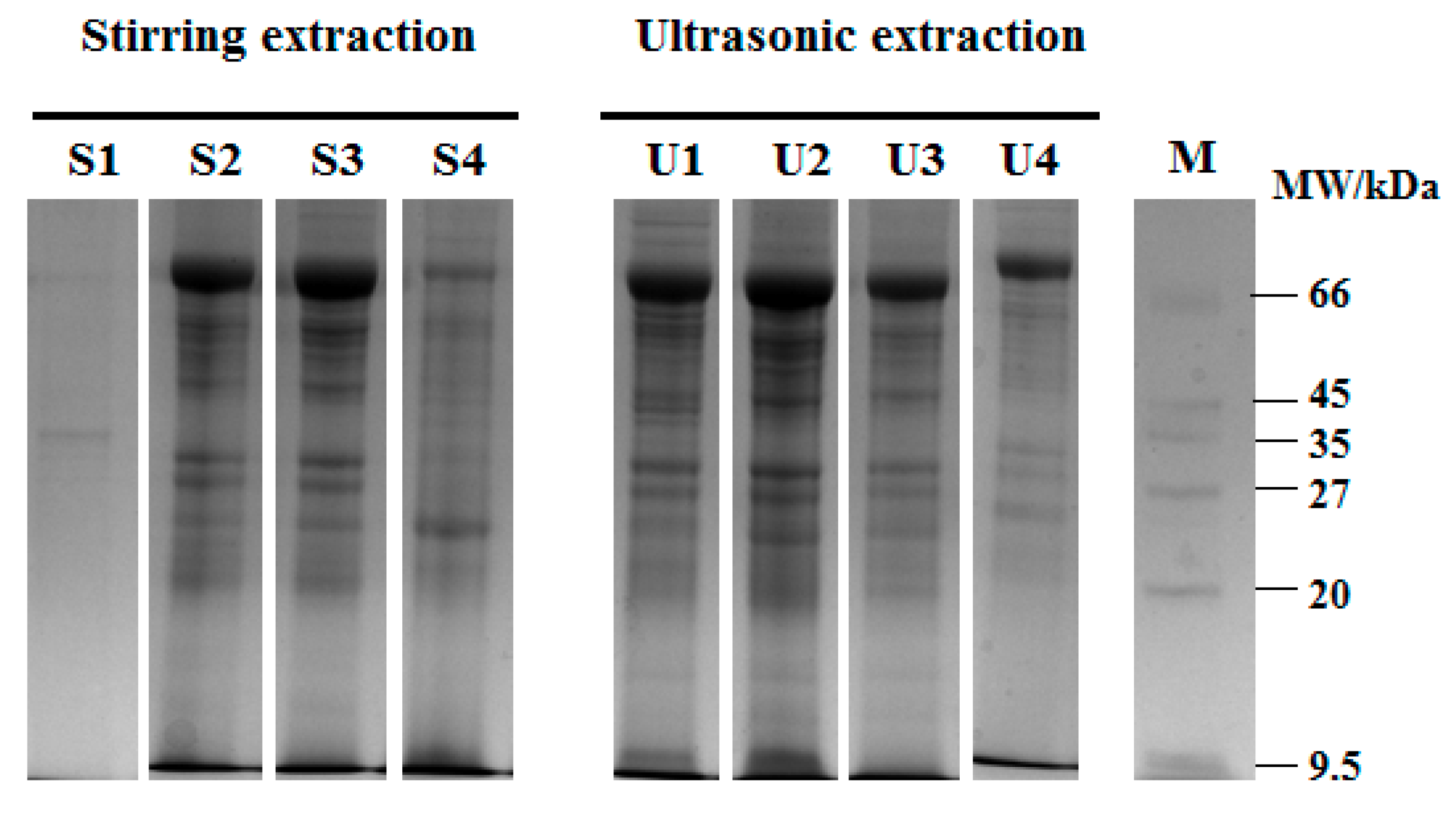 Molecules 24 04103 g001