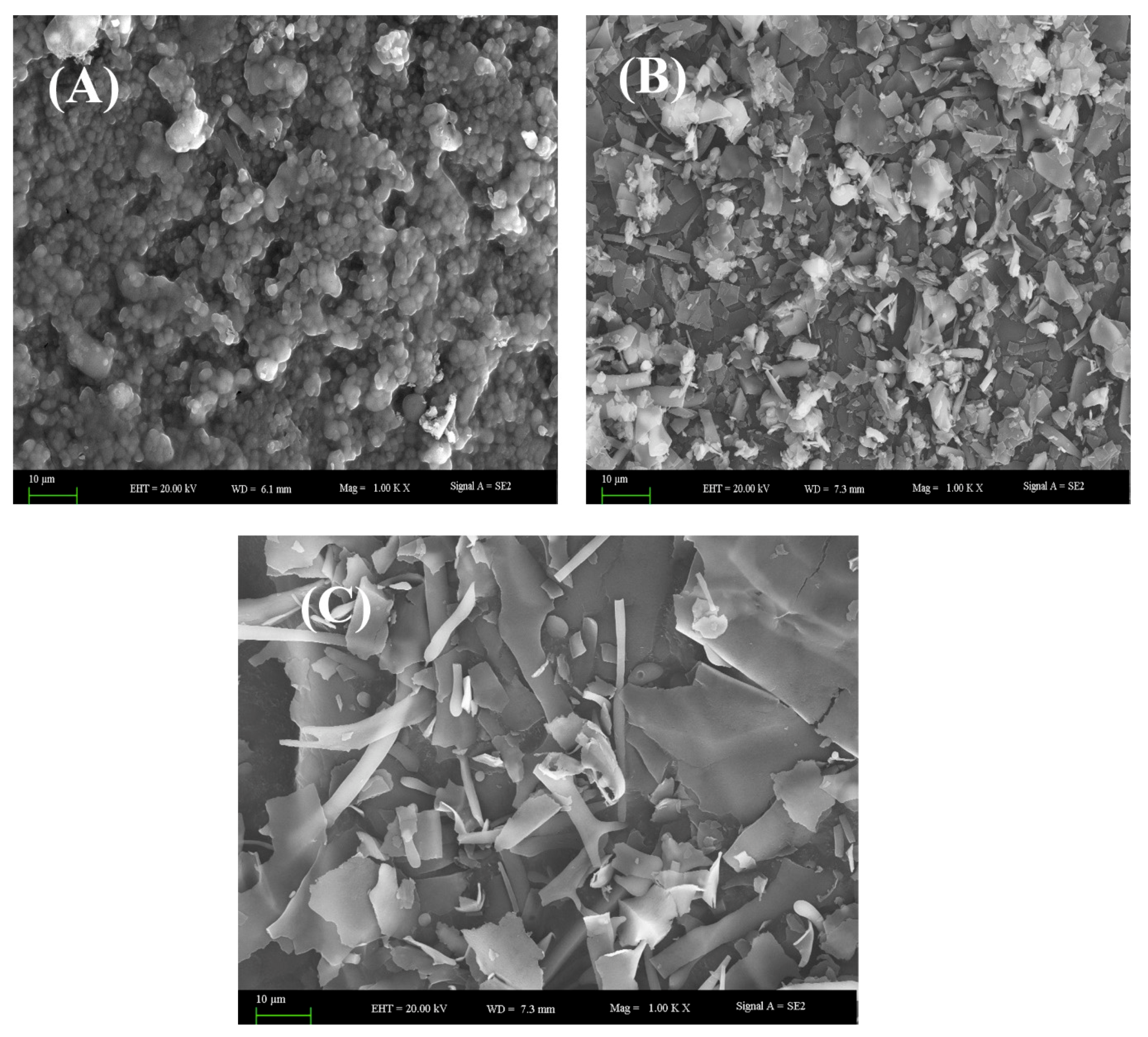 Molecules 24 04103 g006