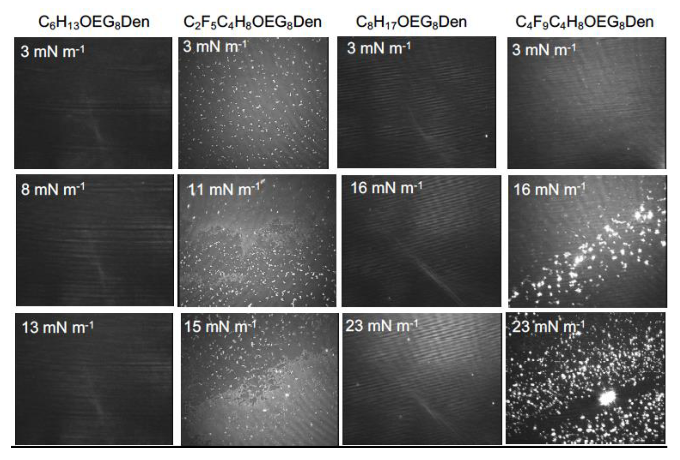 Molecules 24 04114 g003
