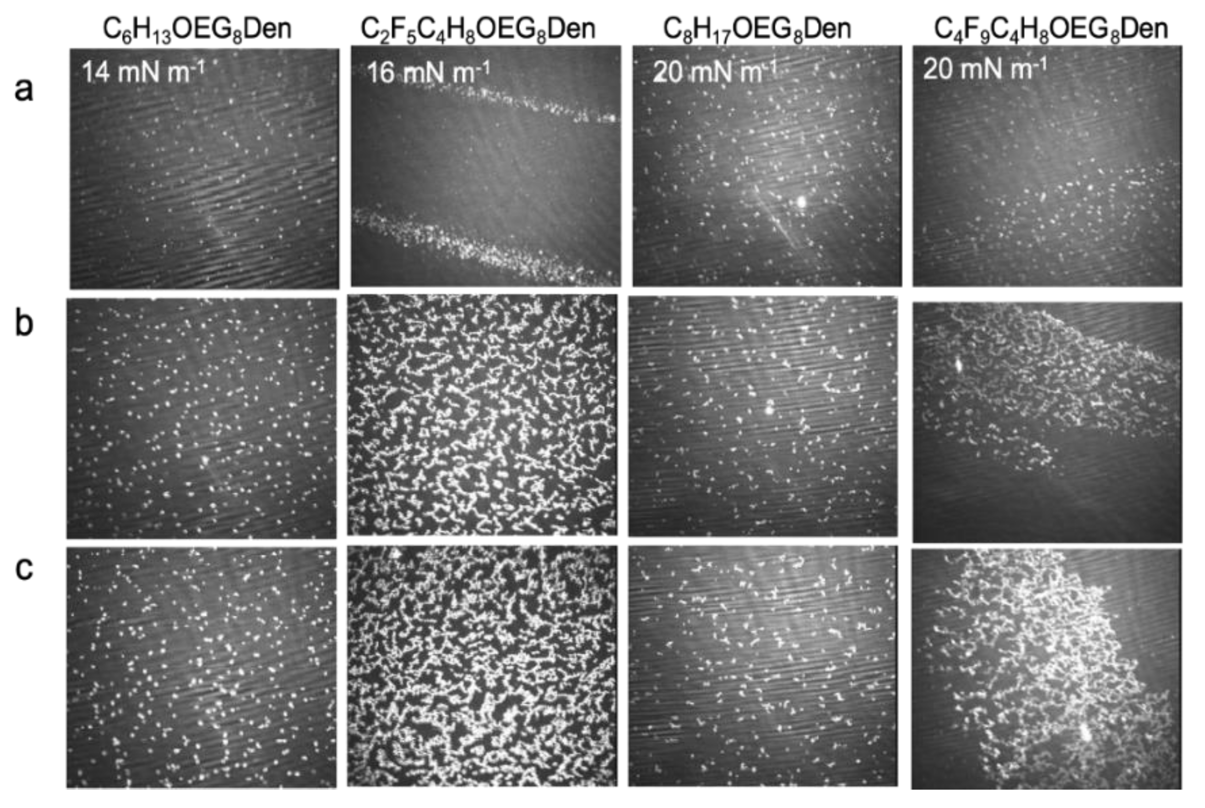 Molecules 24 04114 g007