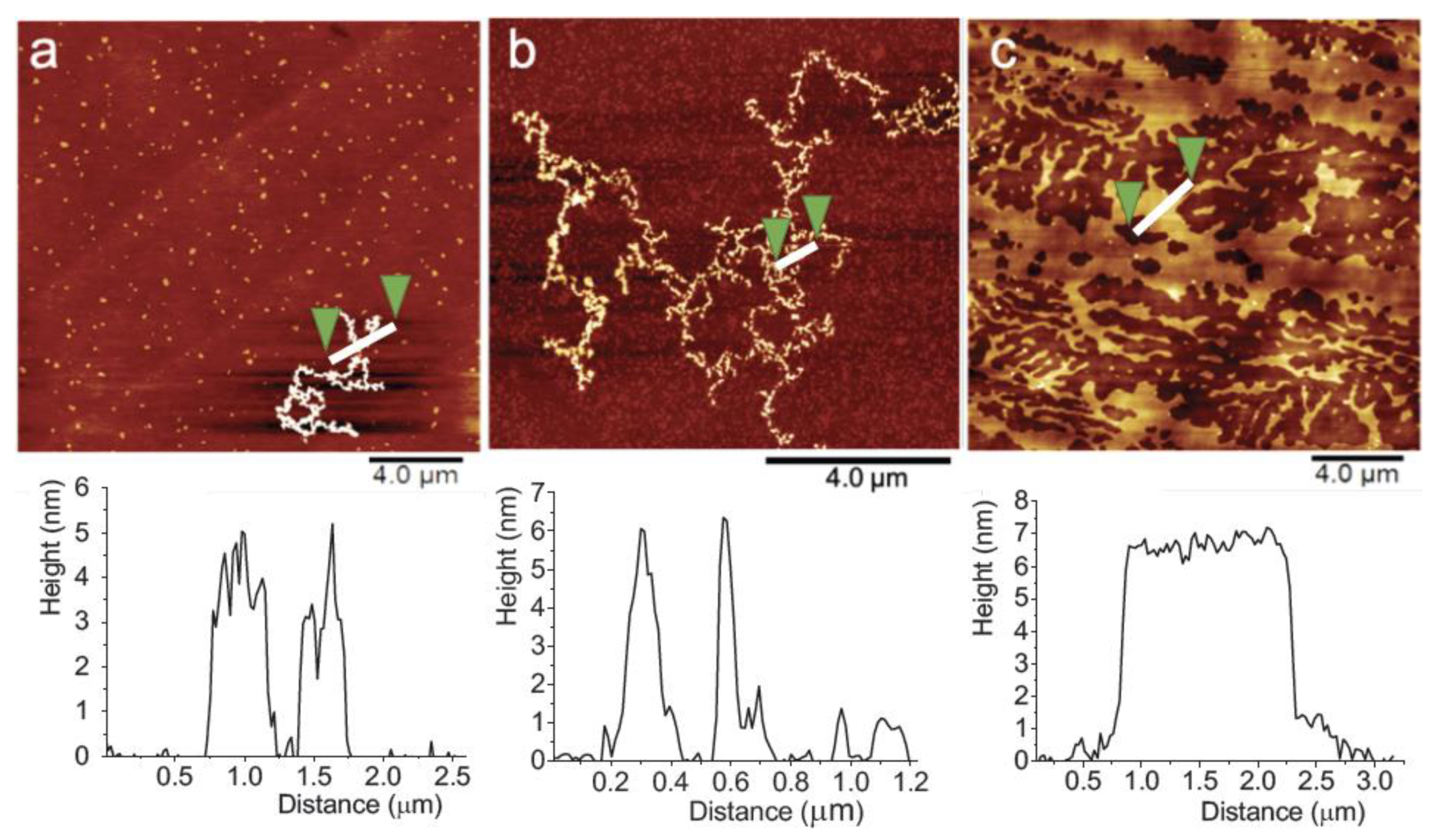 Molecules 24 04114 g008