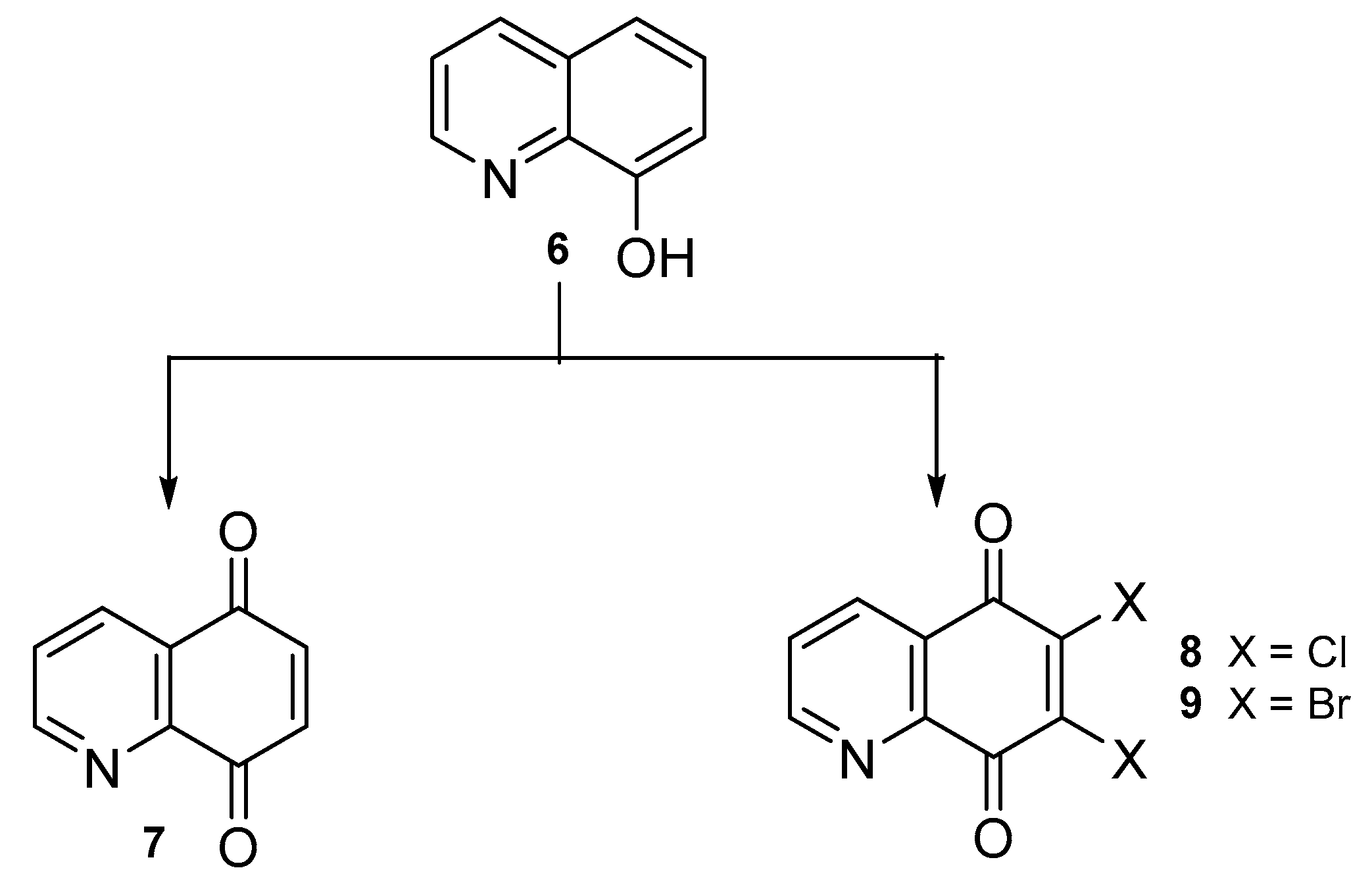 Molecules 24 04115 sch001