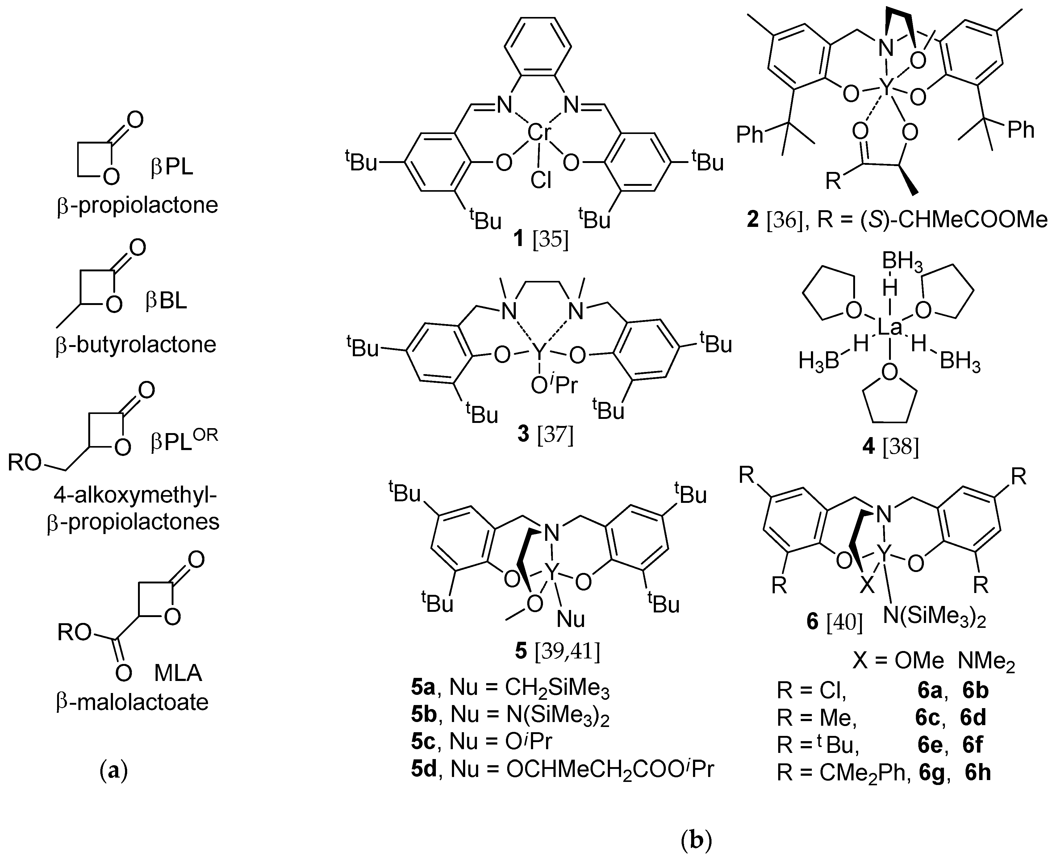 Molecules 24 04117 g002