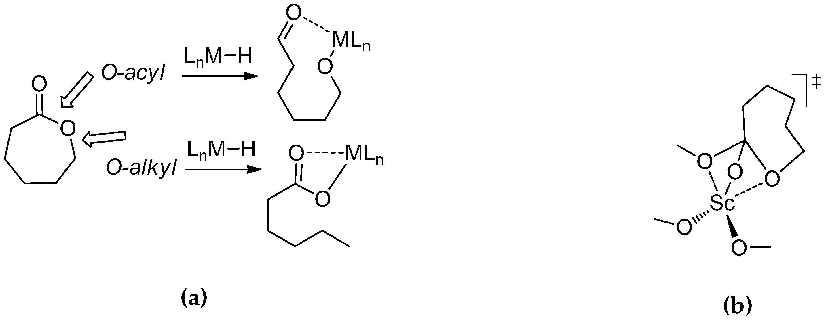 Molecules 24 04117 g007