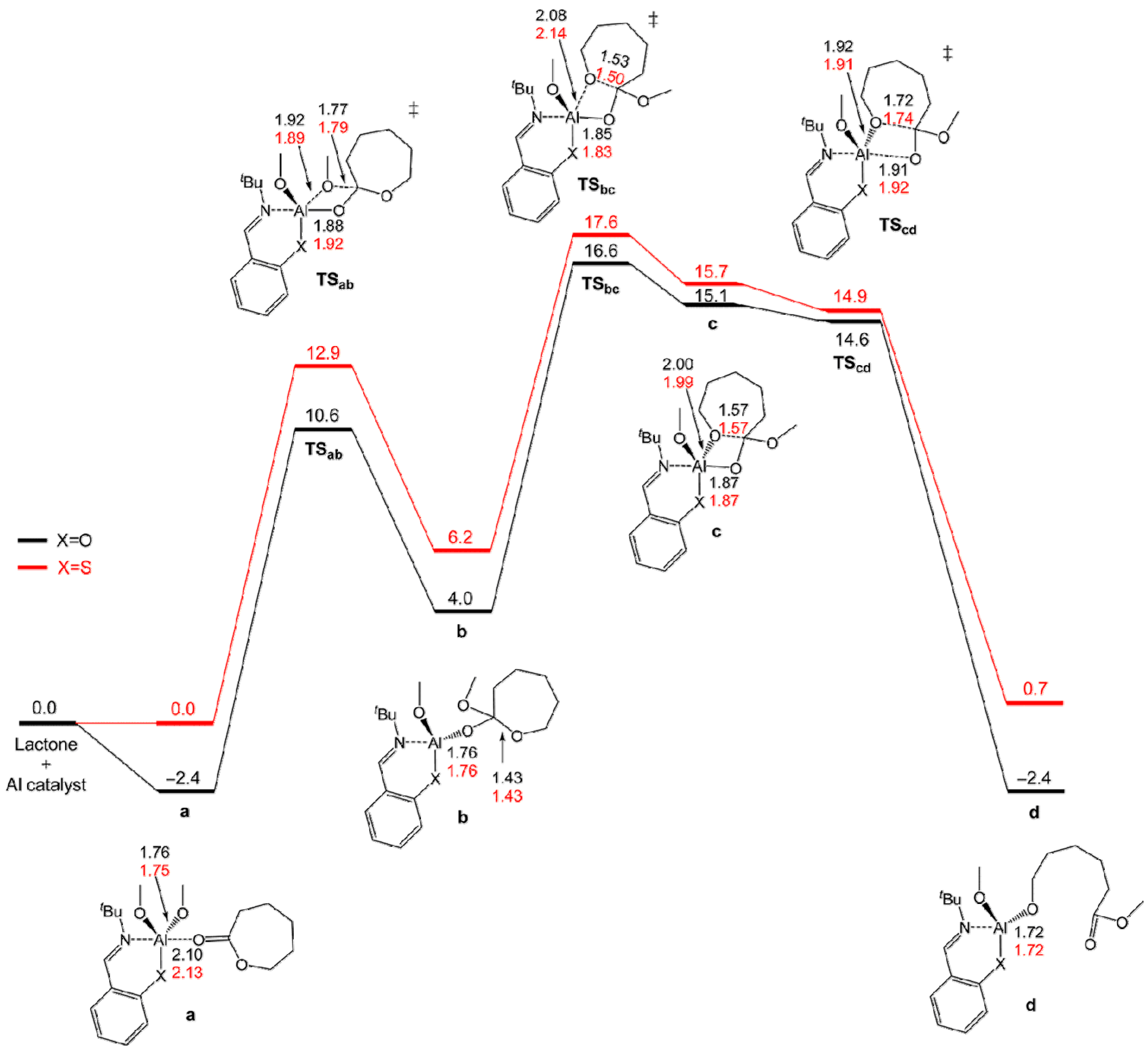 Molecules 24 04117 g009
