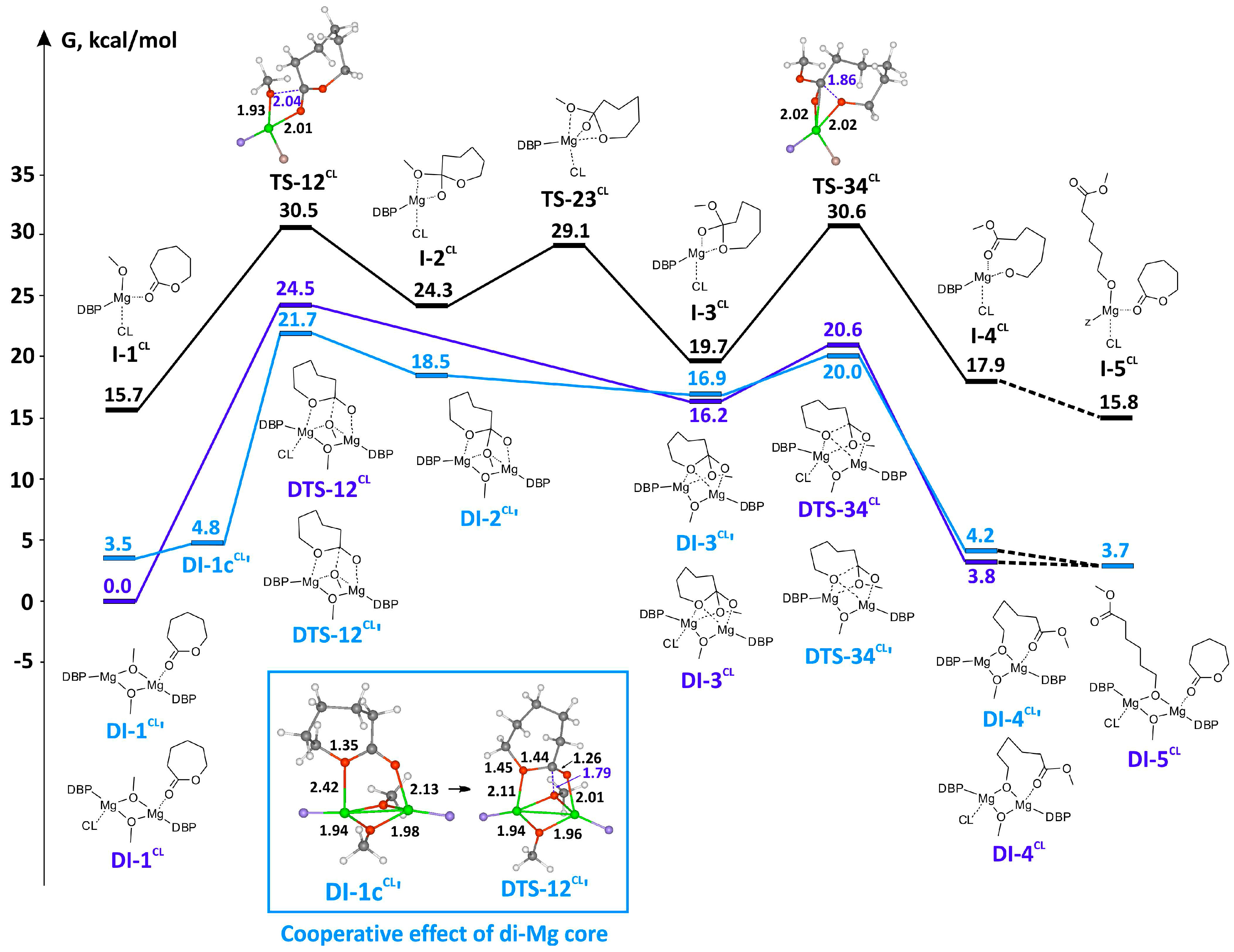 Molecules 24 04117 g011