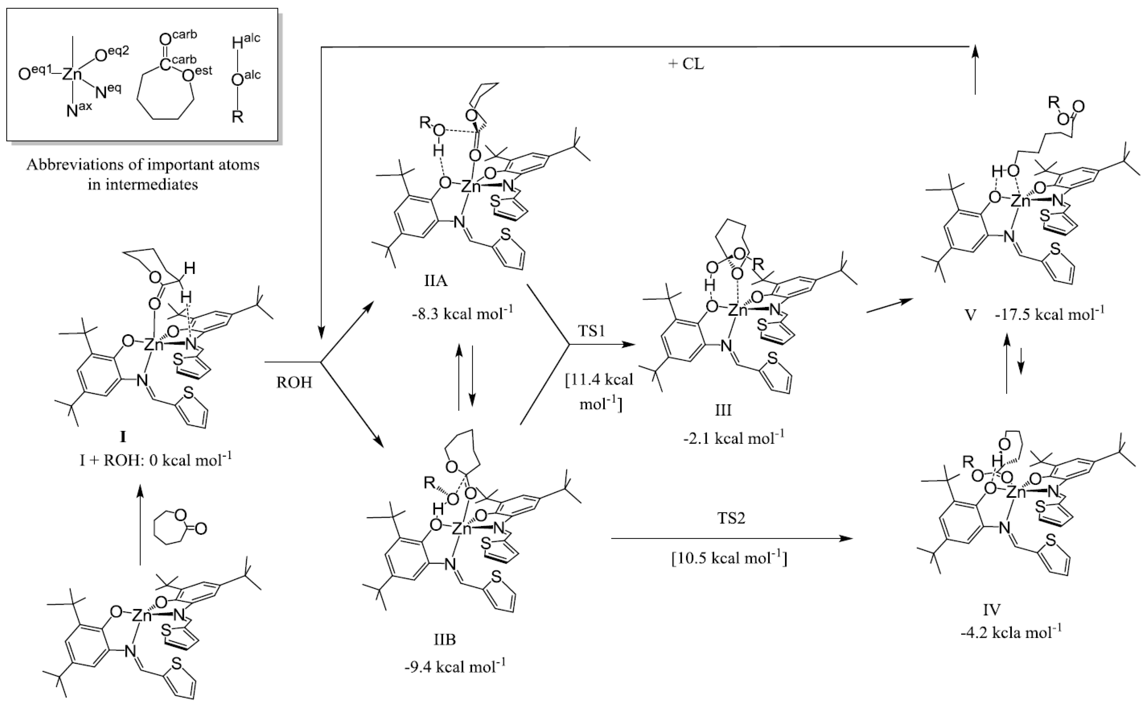 Molecules 24 04117 g012