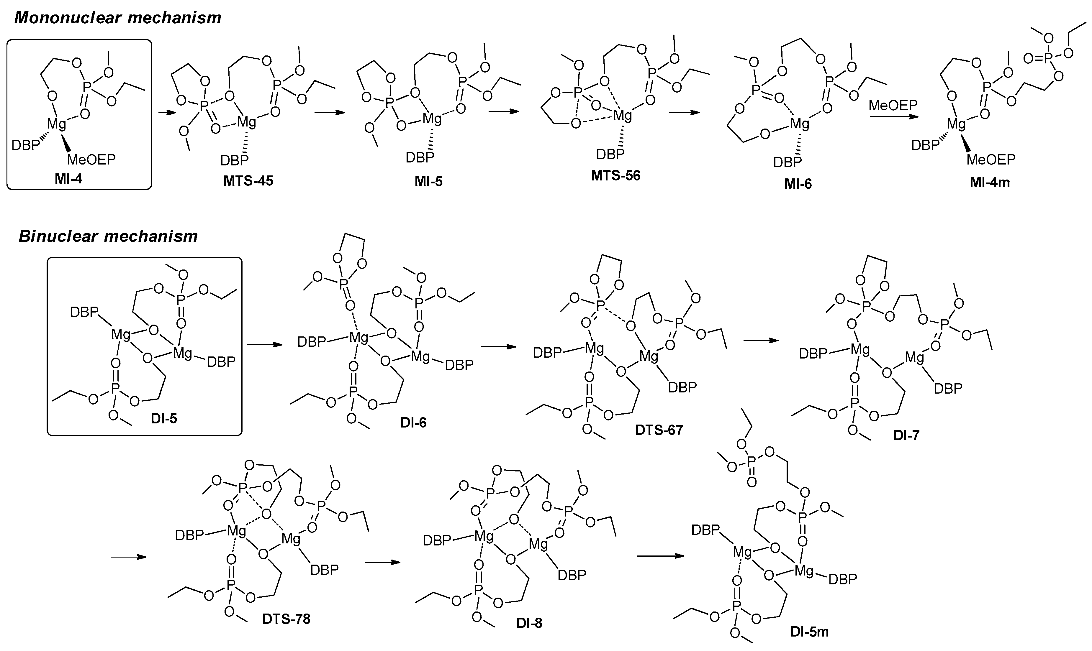 Molecules 24 04117 g037
