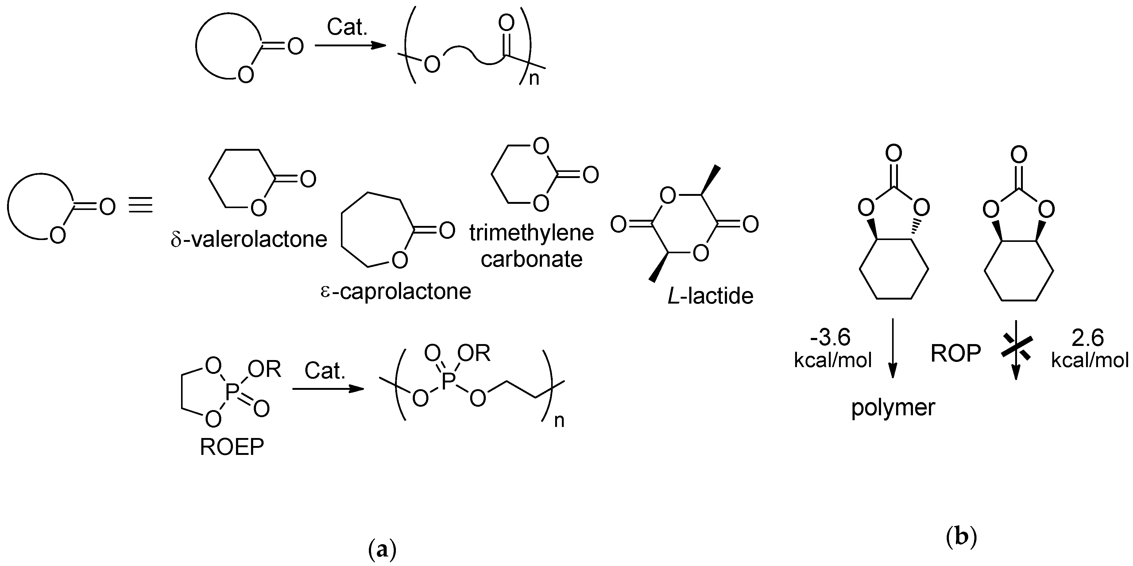 Molecules 24 04117 sch001