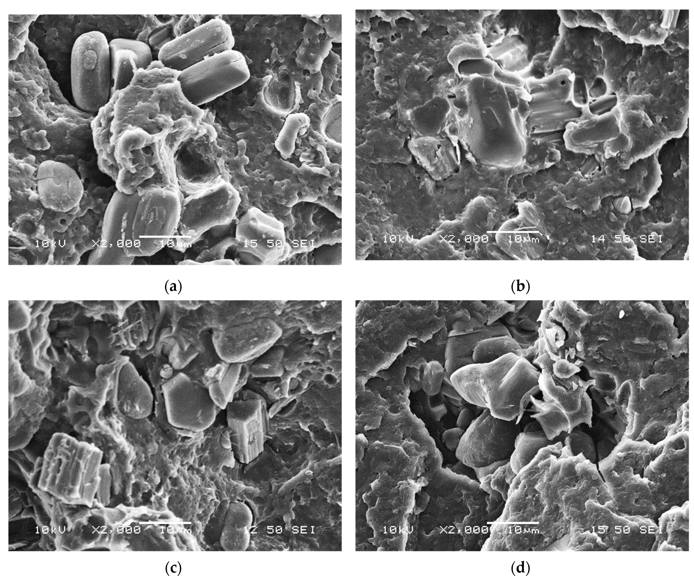 Molecules 24 04123 g008