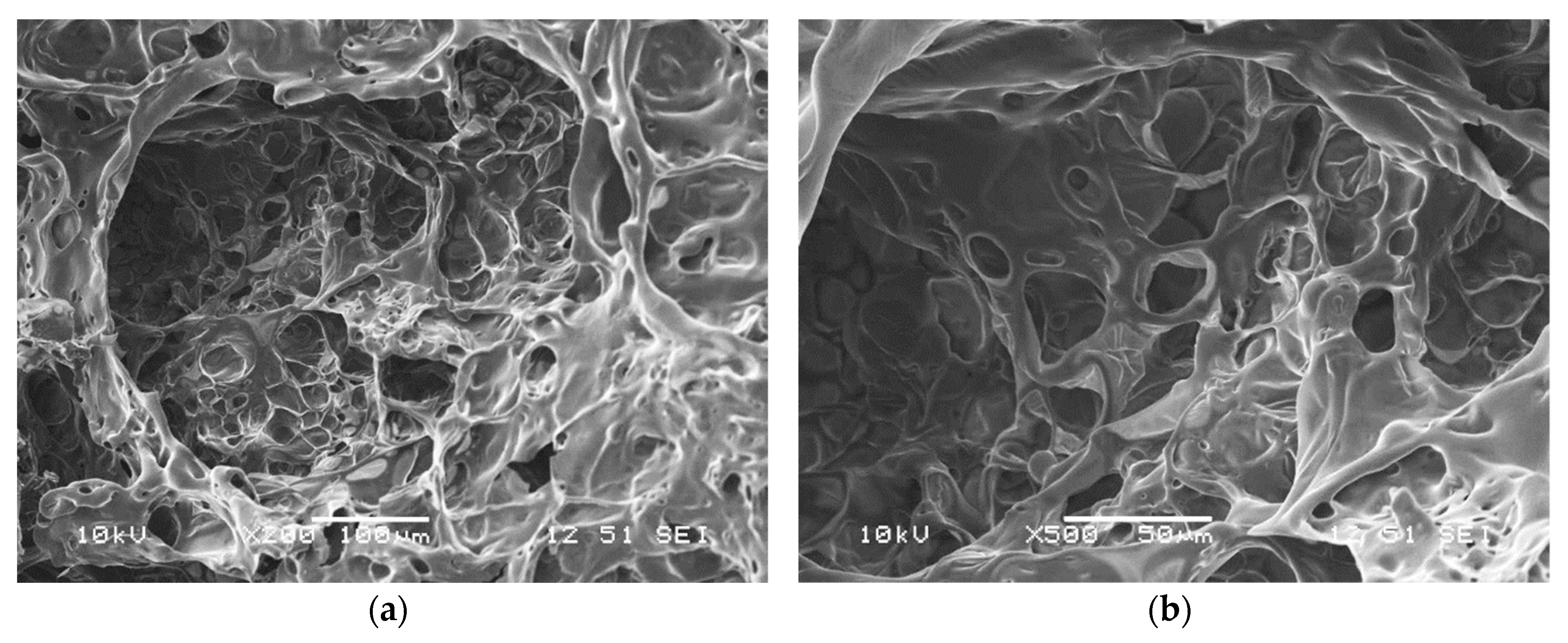 Molecules 24 04123 g016