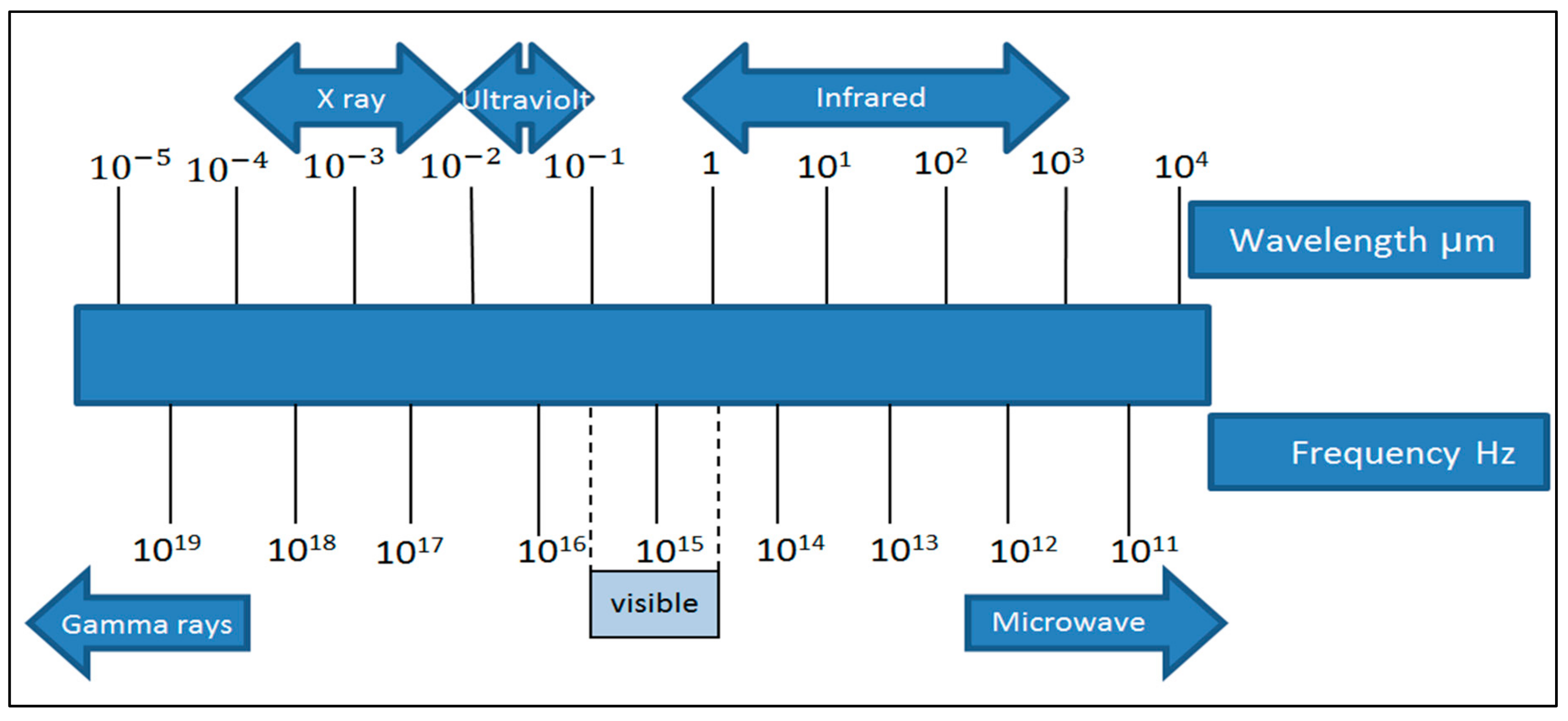 Molecules 24 04125 g001