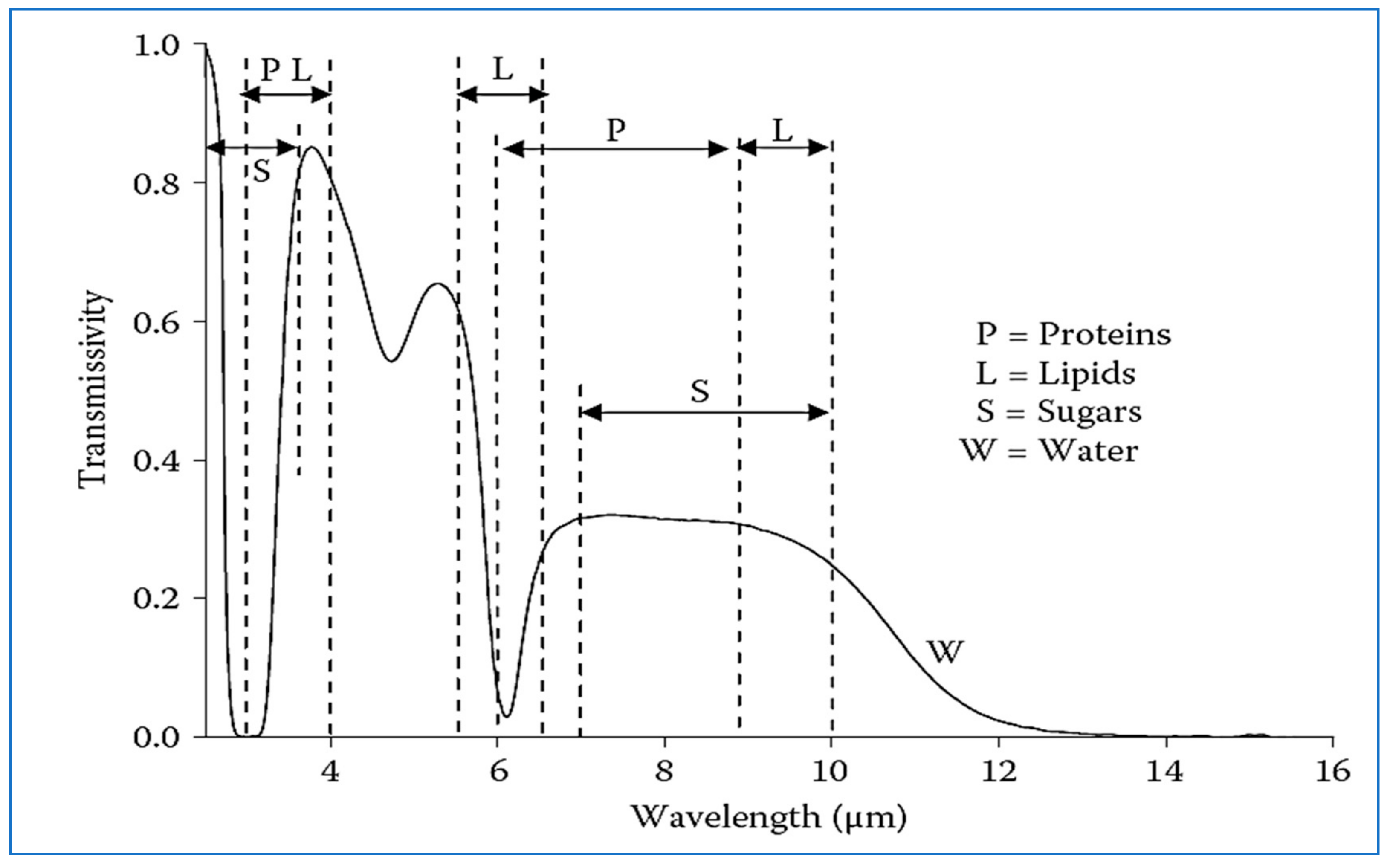 Molecules 24 04125 g004