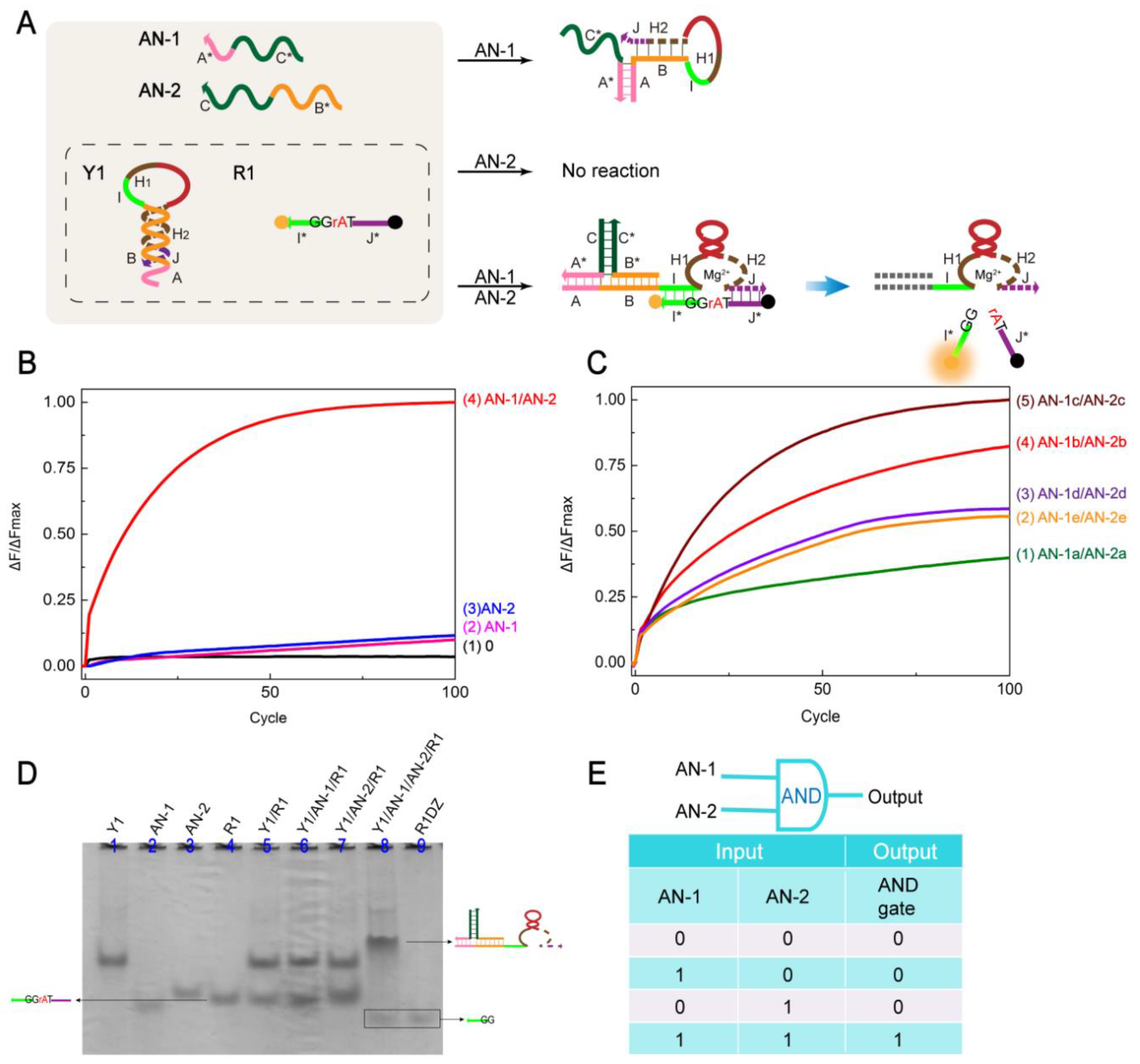 Molecules 24 04134 g002