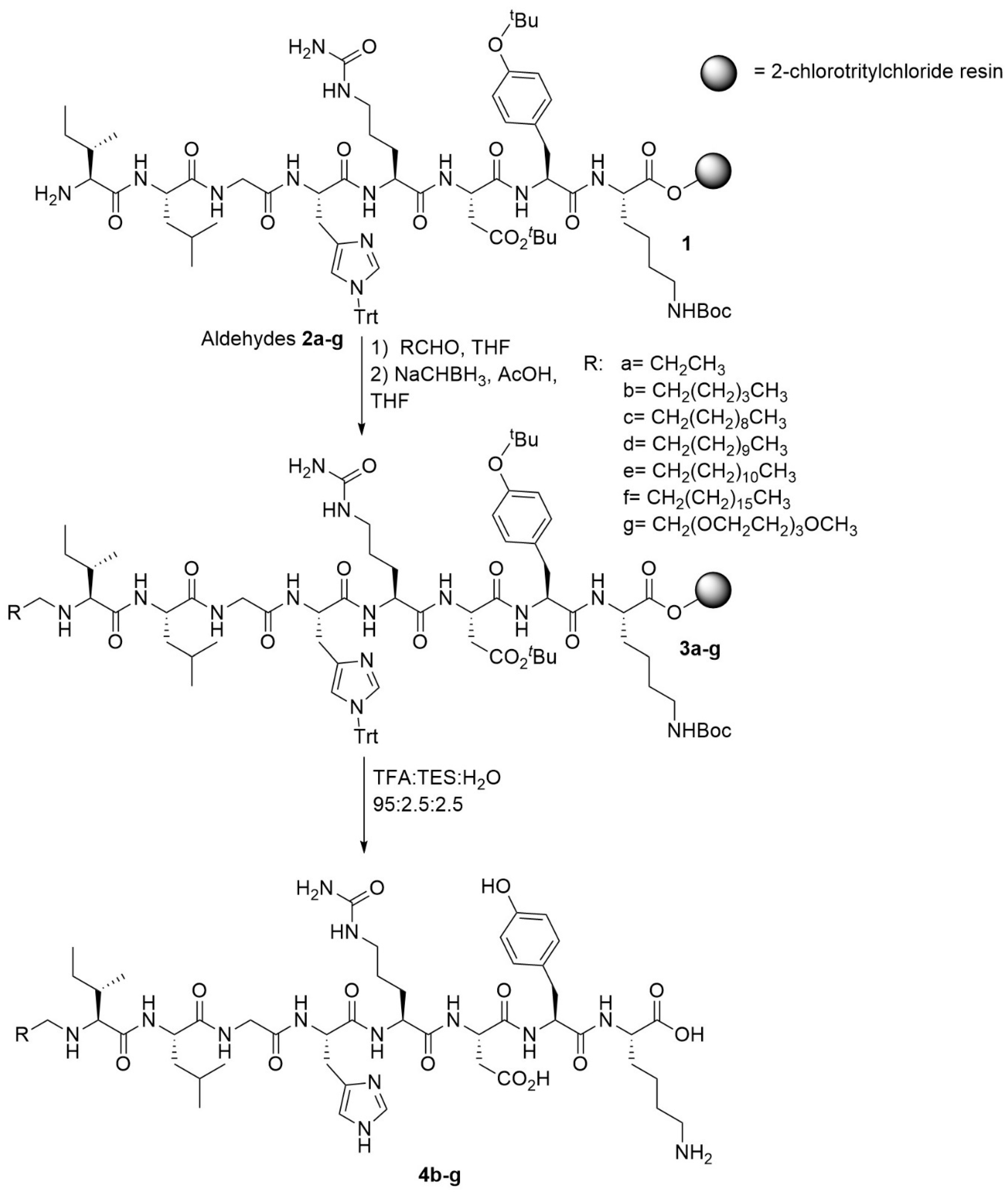 Molecules 24 04141 sch001 Molecules 24 04141 sch001