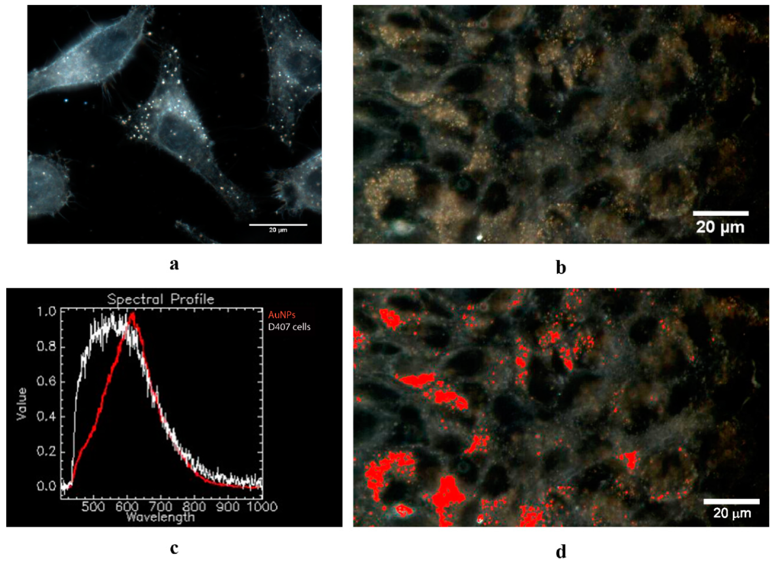 Molecules 24 04145 g007