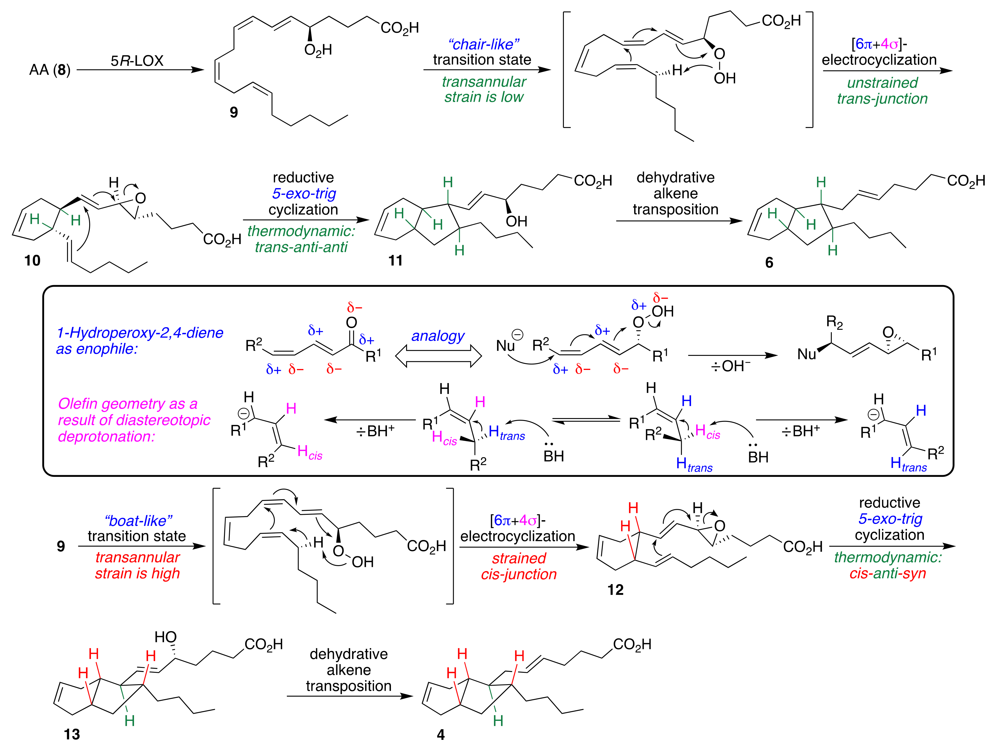 Molecules 24 04147 sch001 Molecules 24 04147 sch001
