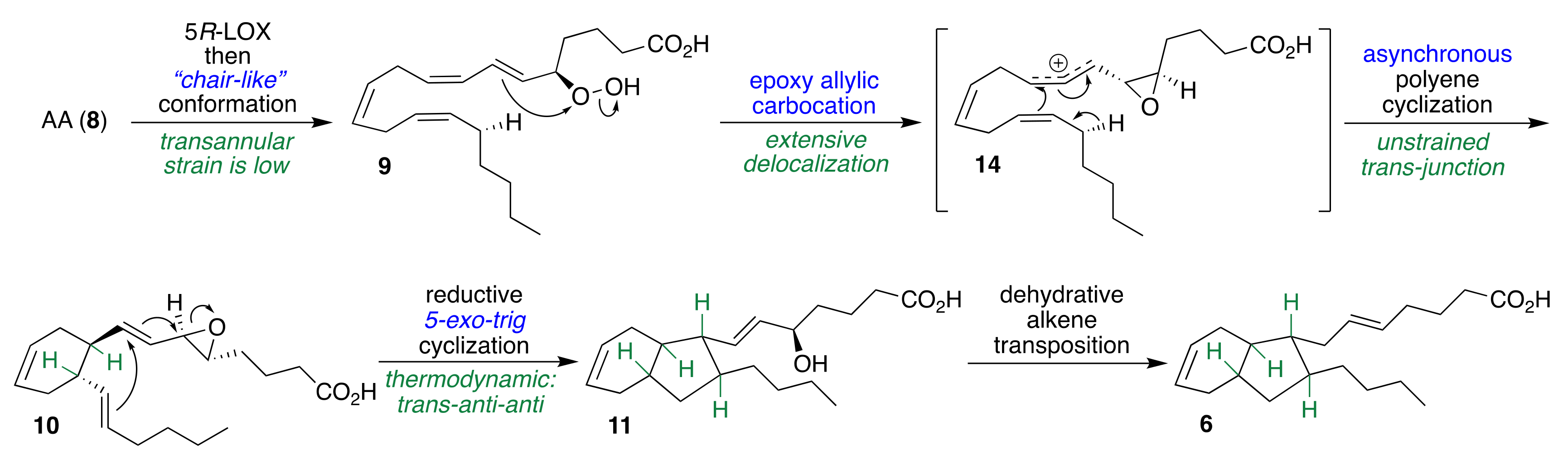 Molecules 24 04147 sch002 Molecules 24 04147 sch002